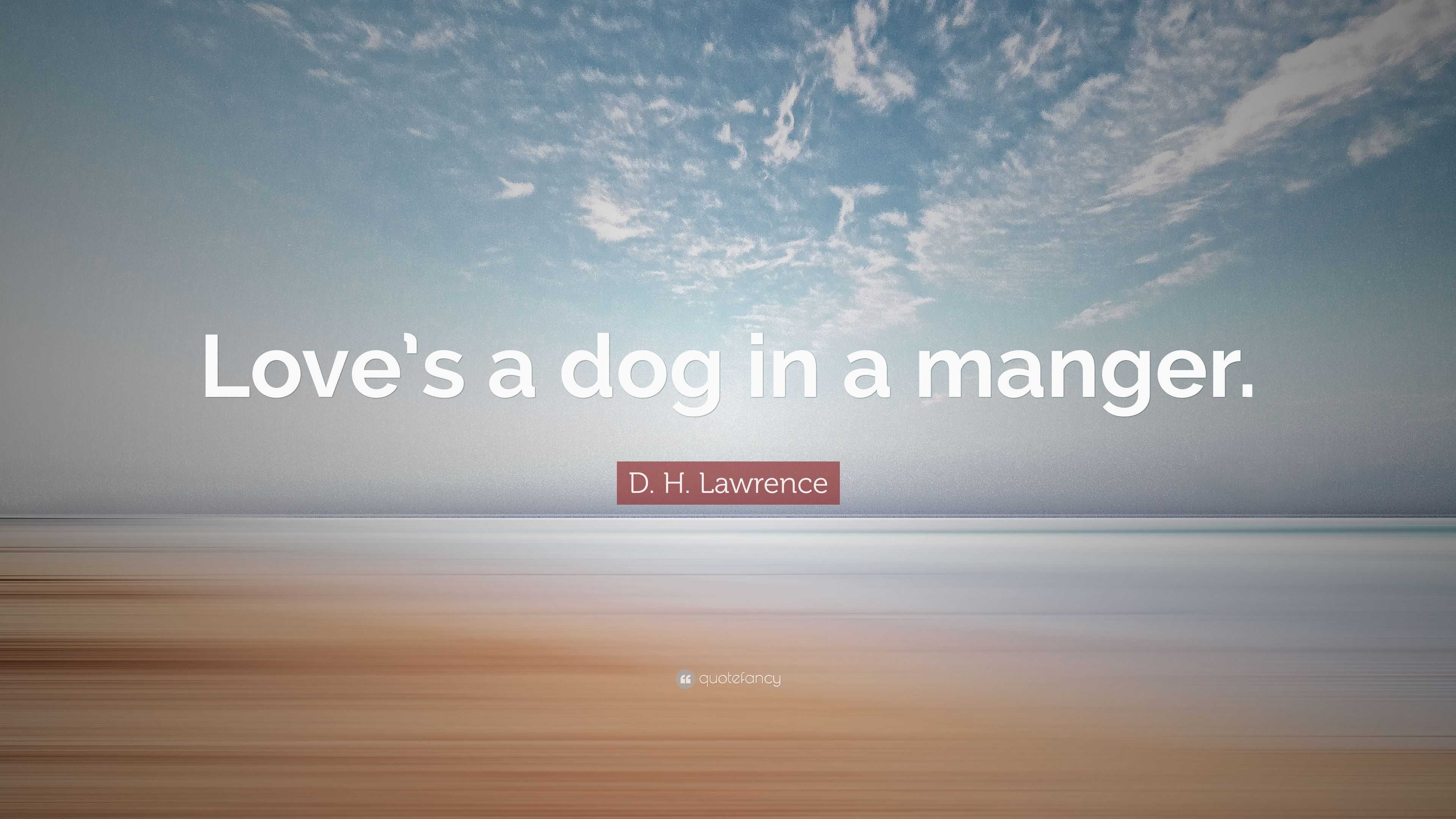 D. H. Lawrence Quote: “Love’s a dog in a manger.”