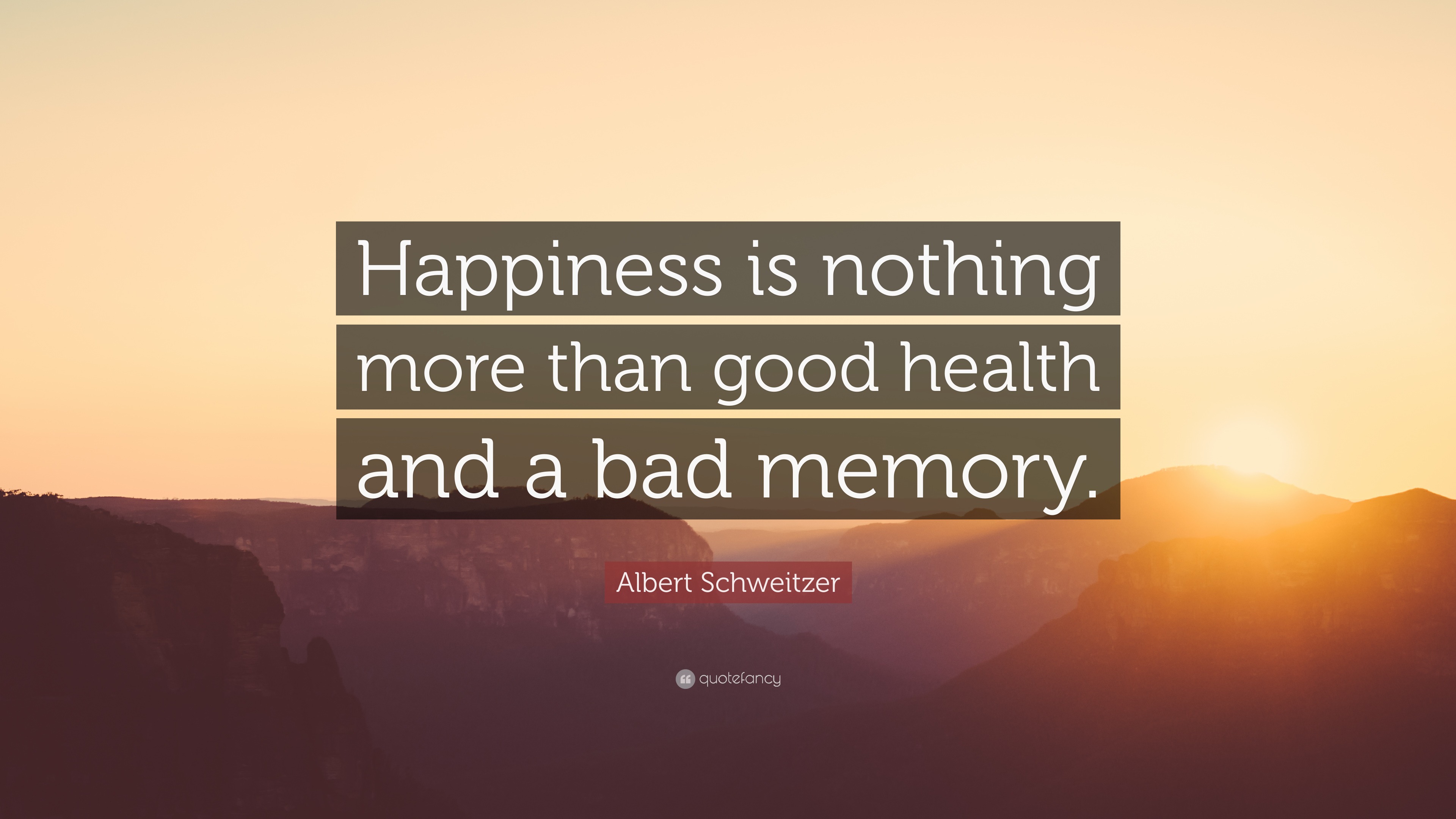 Albert Schweitzer Quote: “Happiness is nothing more than good health ...
