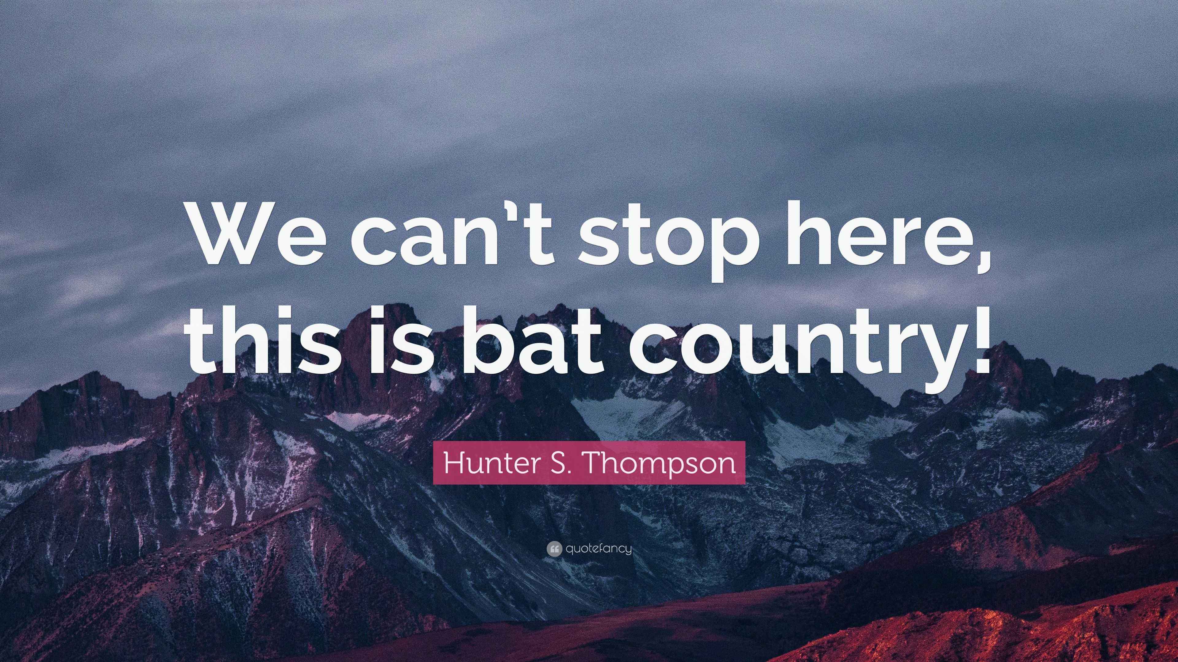 This Is Bat Country Quote Hunter S. Thompson Quote: “We Can't Stop Here, This Is Bat Country!”