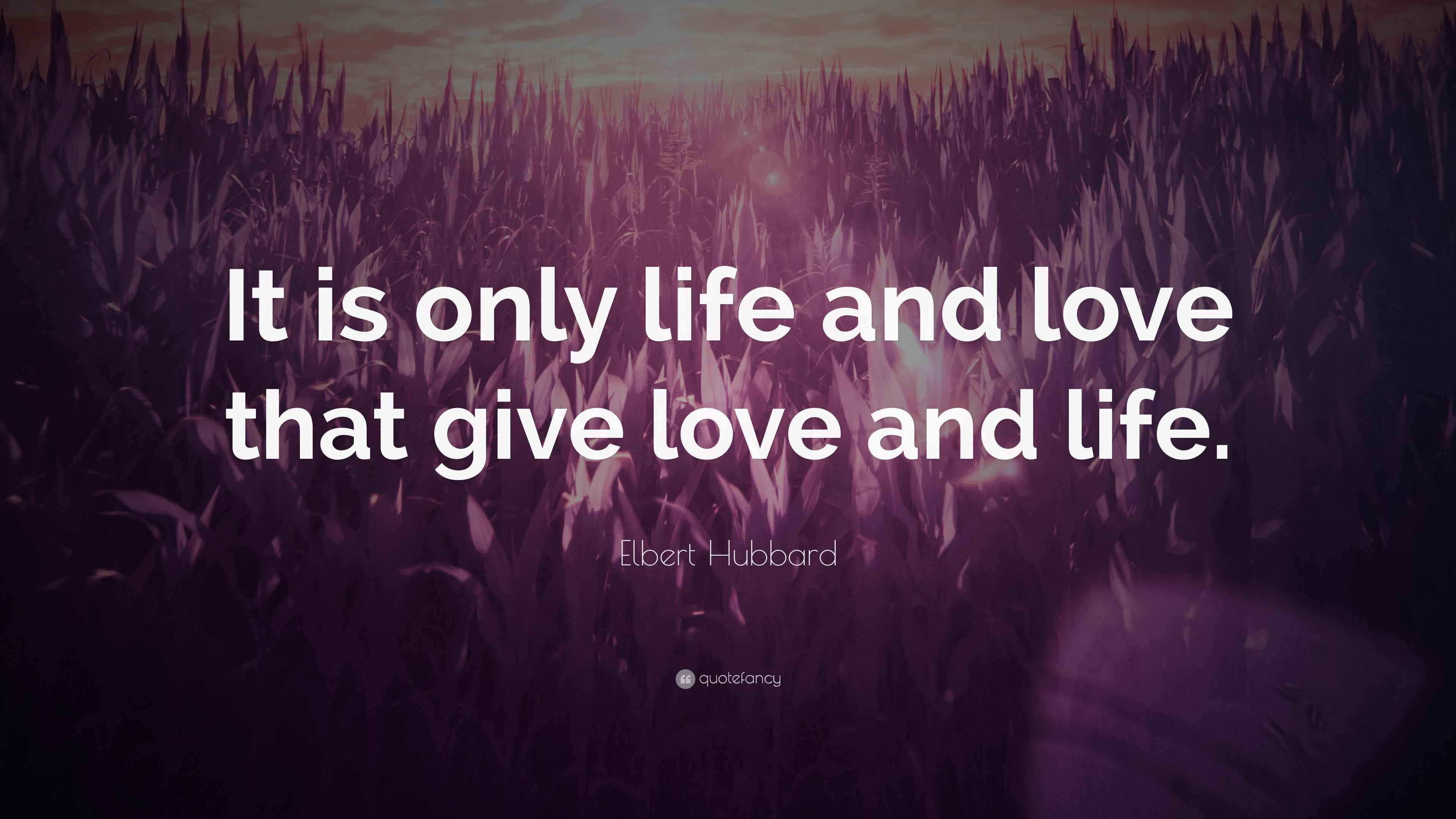 Elbert Hubbard Quote: “It is only life and love that give love and life.”