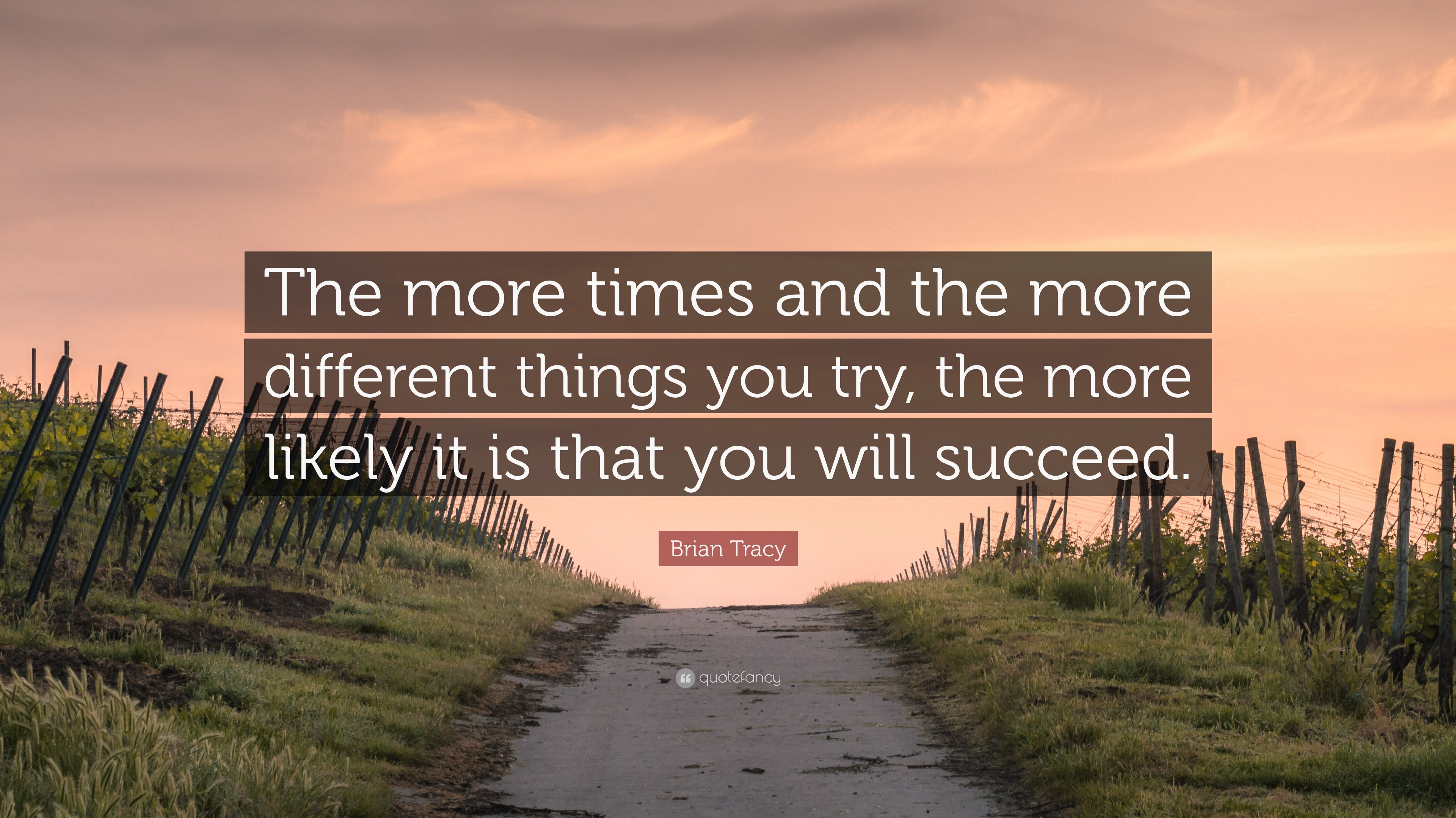 Brian Tracy Quote “the More Times And The More Different Things You