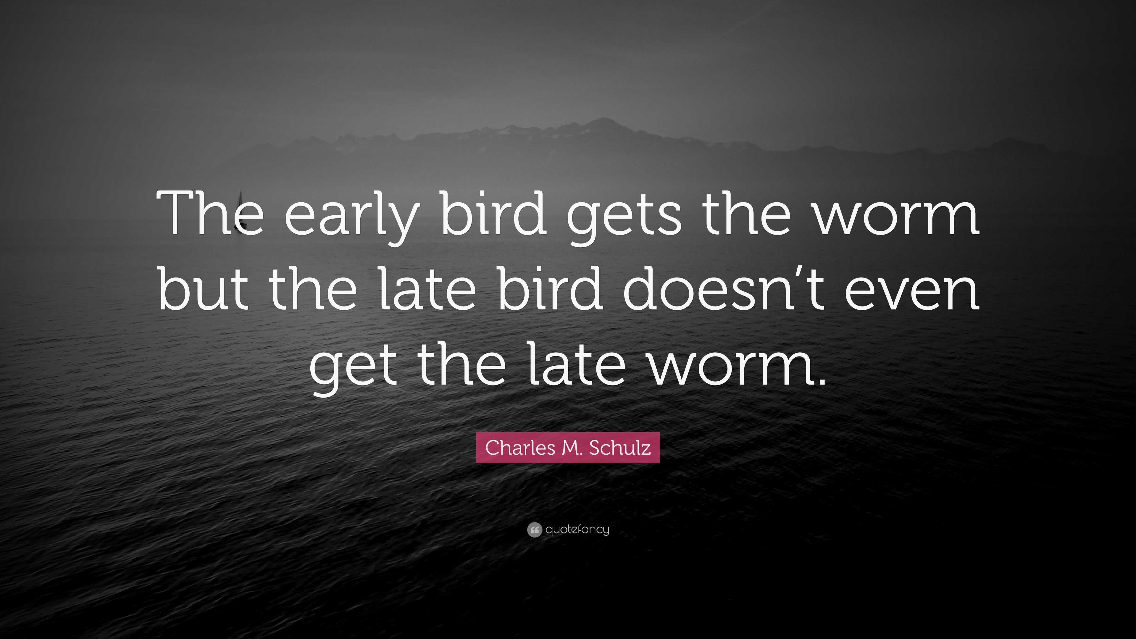 the early bird gets the worm the late bird