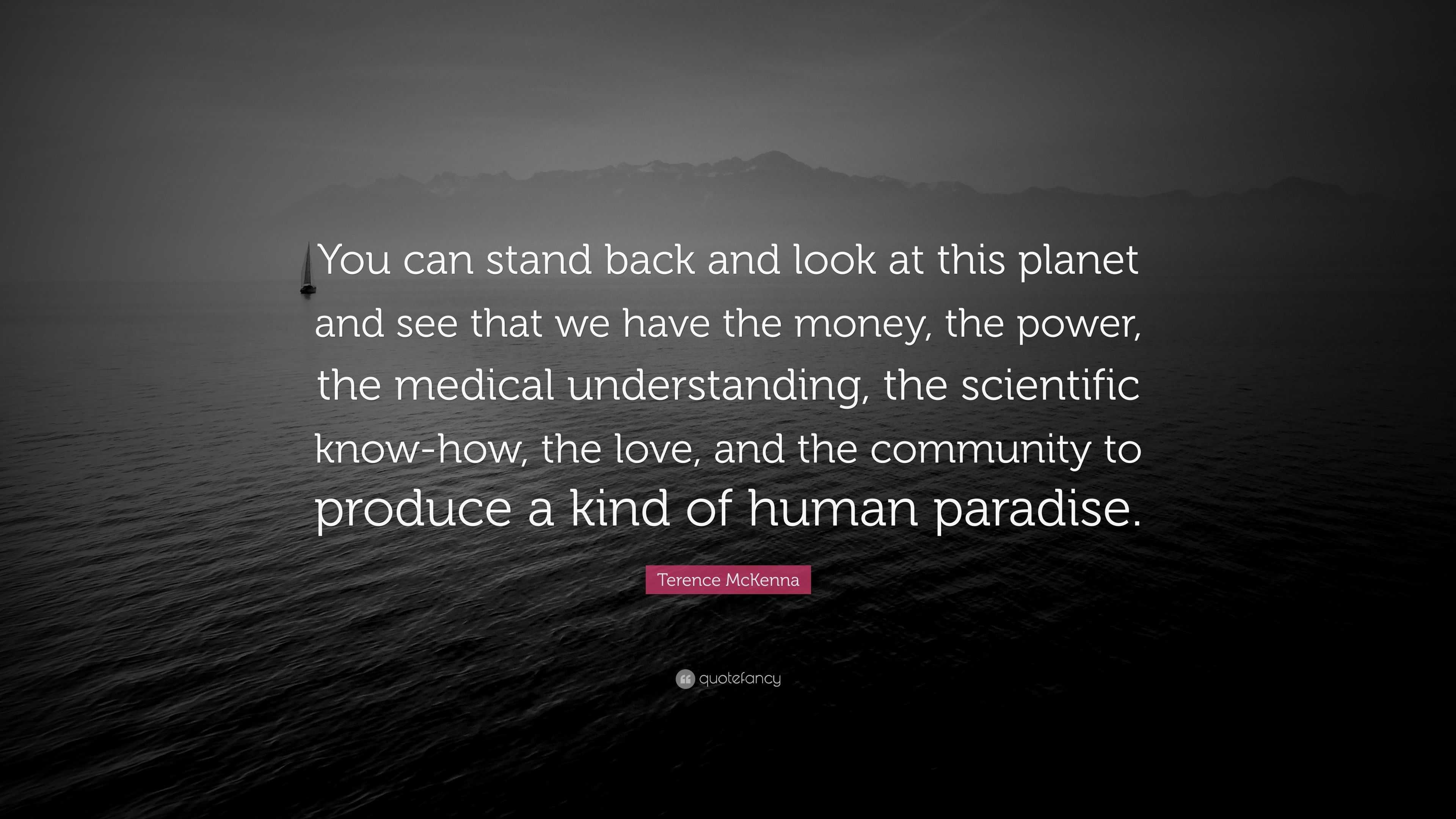 Terence McKenna Quote “You can stand back and look at this and