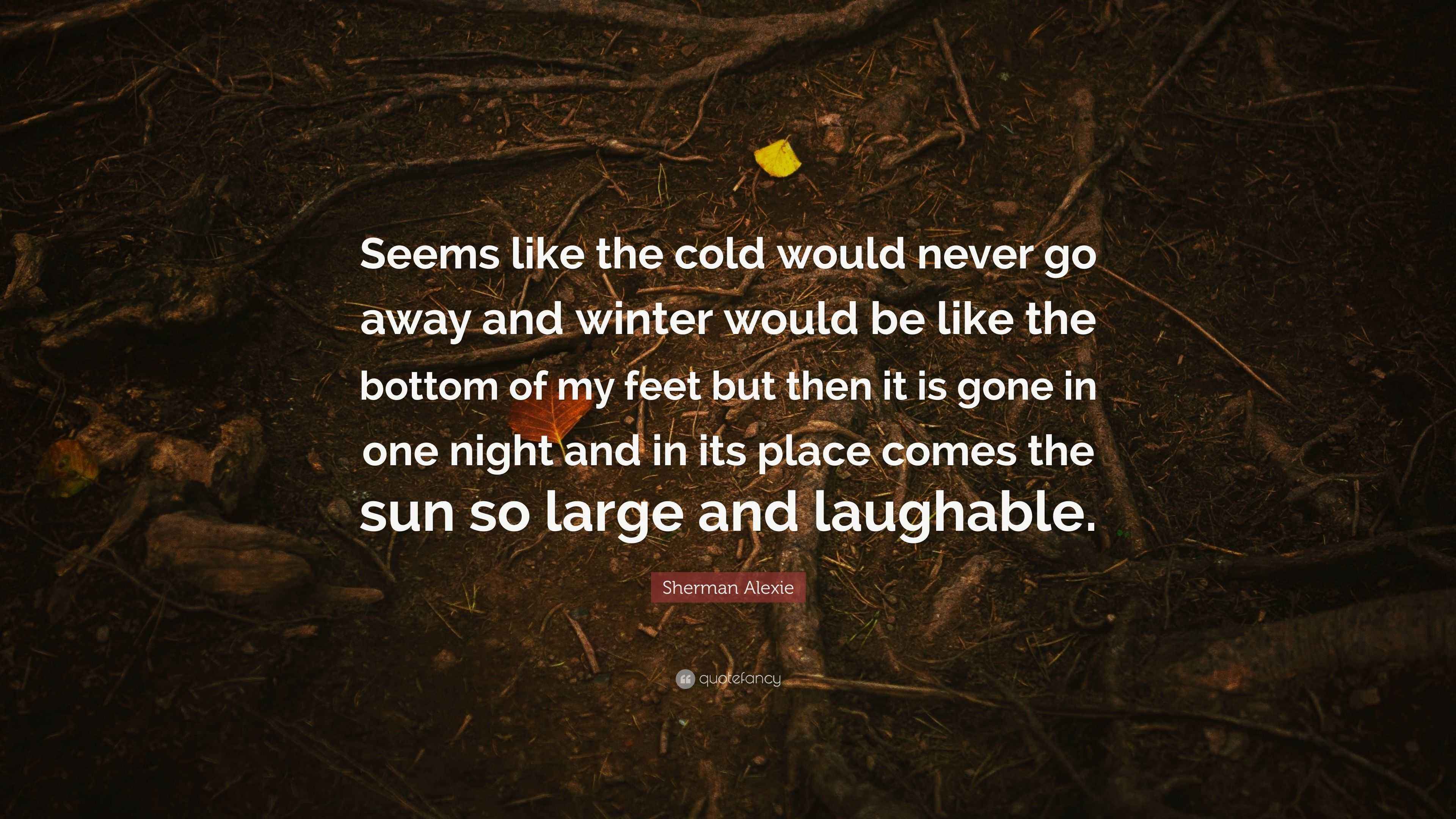 Sherman Alexie Quote “Seems like the cold would never go away and
