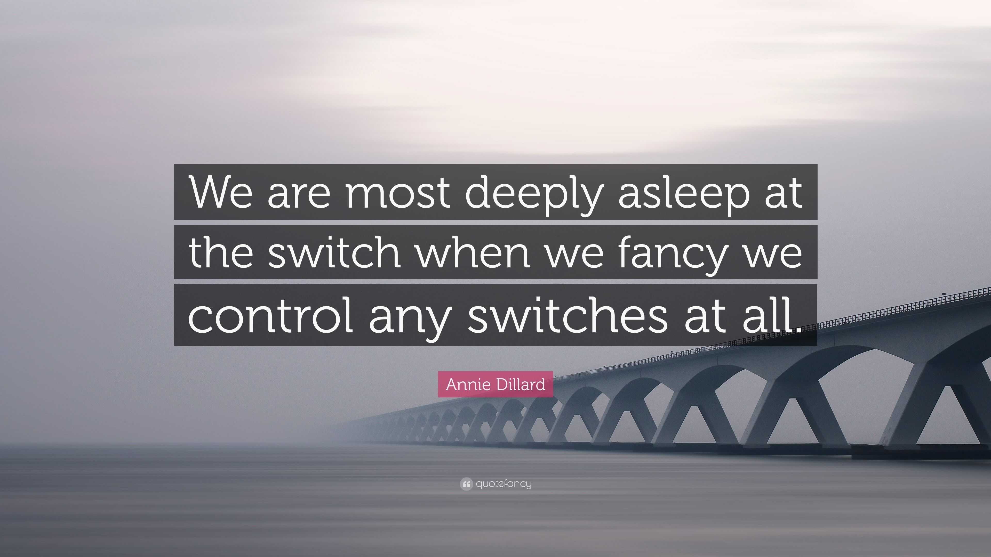 Annie Dillard Quote: “We are most deeply asleep at the switch when we fancy  we control