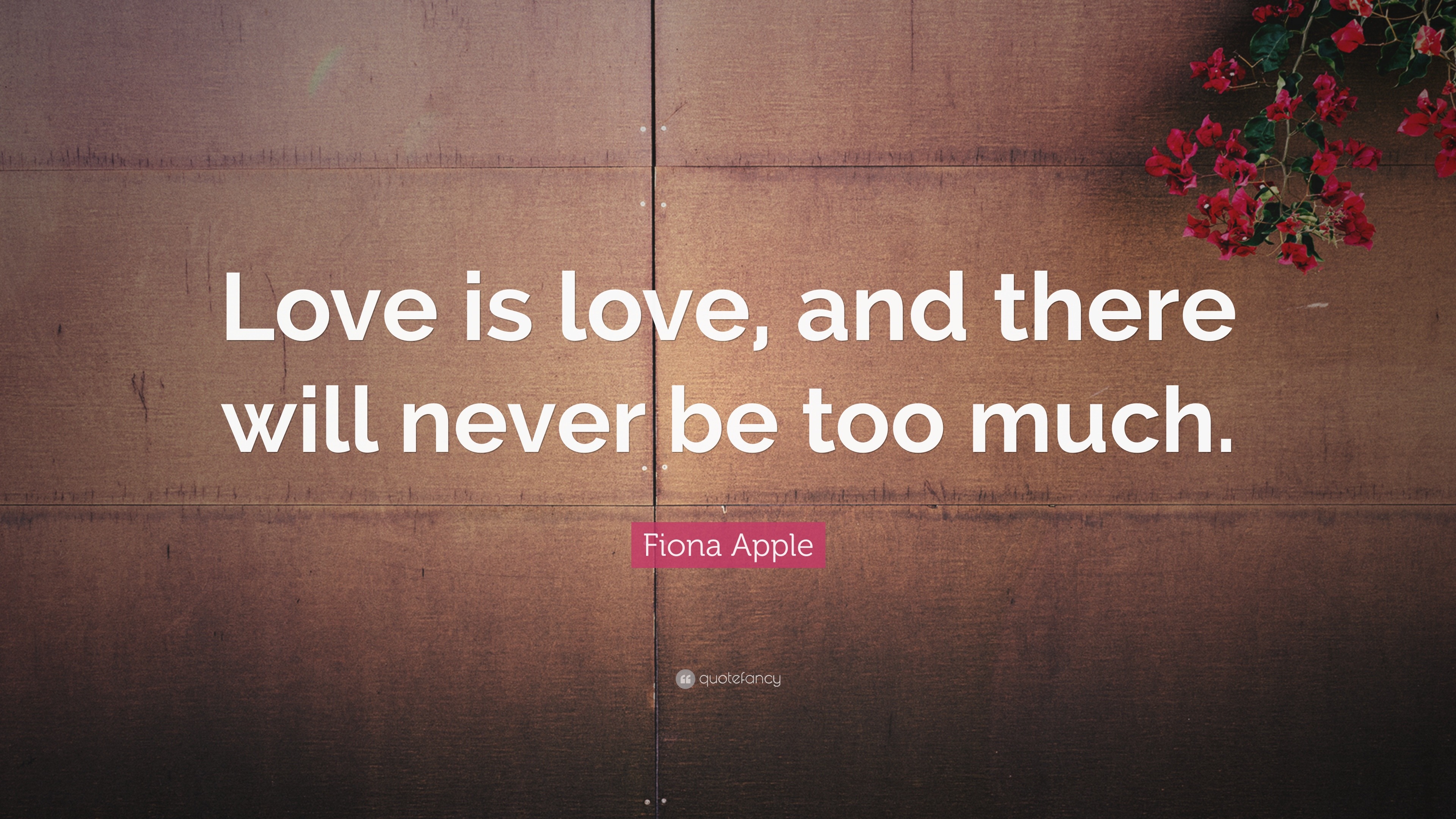 Fiona Apple Quote: “Love is love, and there will never be too much.”