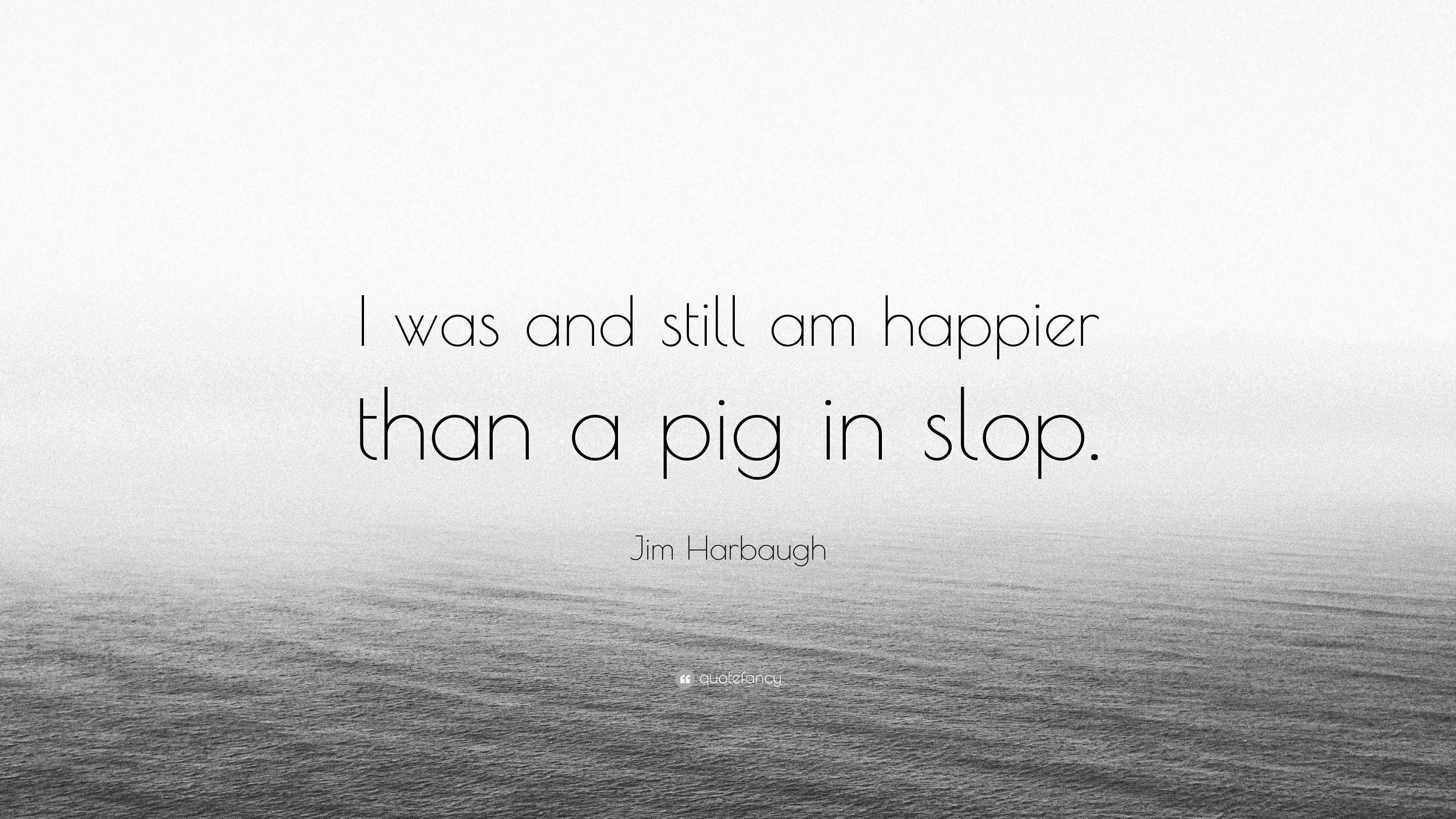 Jim Harbaugh Quote “I was and still am happier than a pig in slop.”