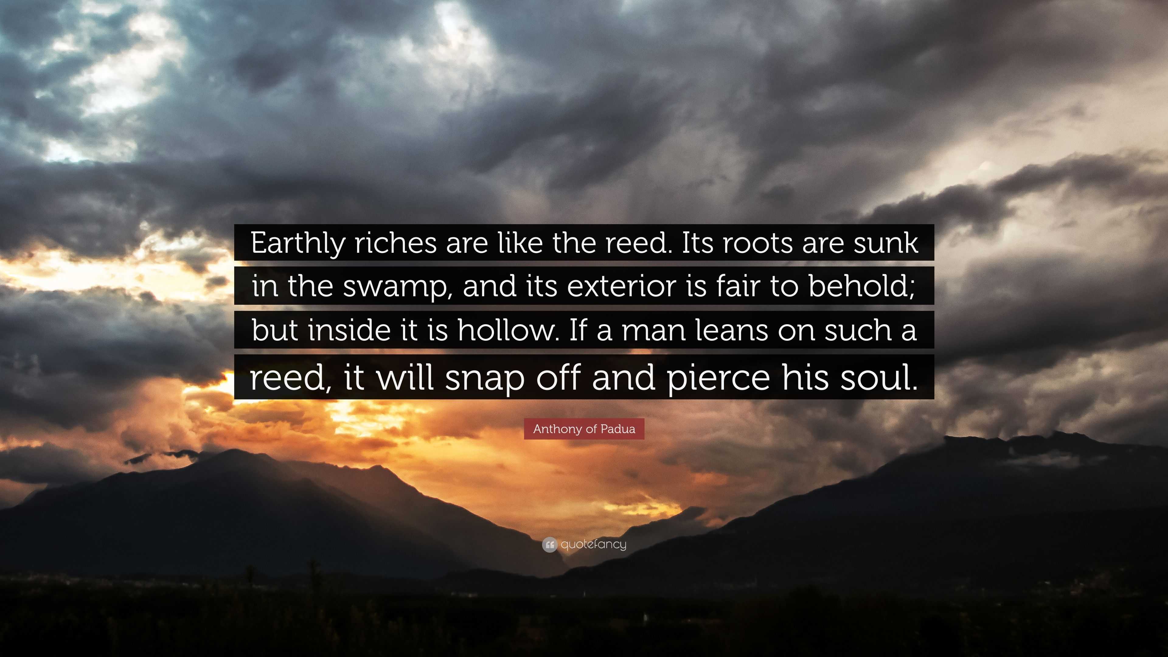 Anthony of Padua Quote: “Earthly riches are like the reed. Its roots ...