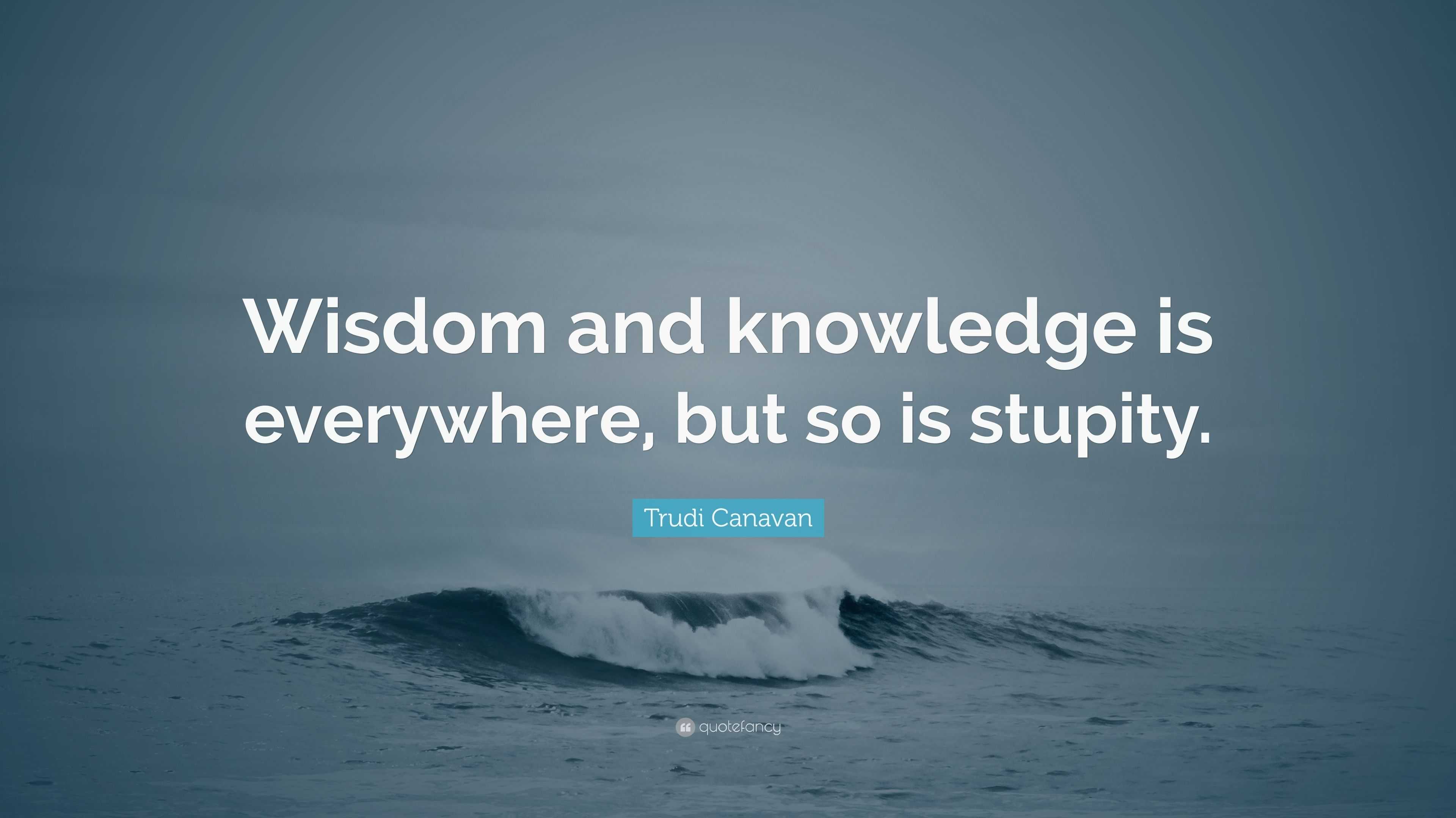 Trudi Canavan Quote: “wisdom And Knowledge Is Everywhere, But So Is 