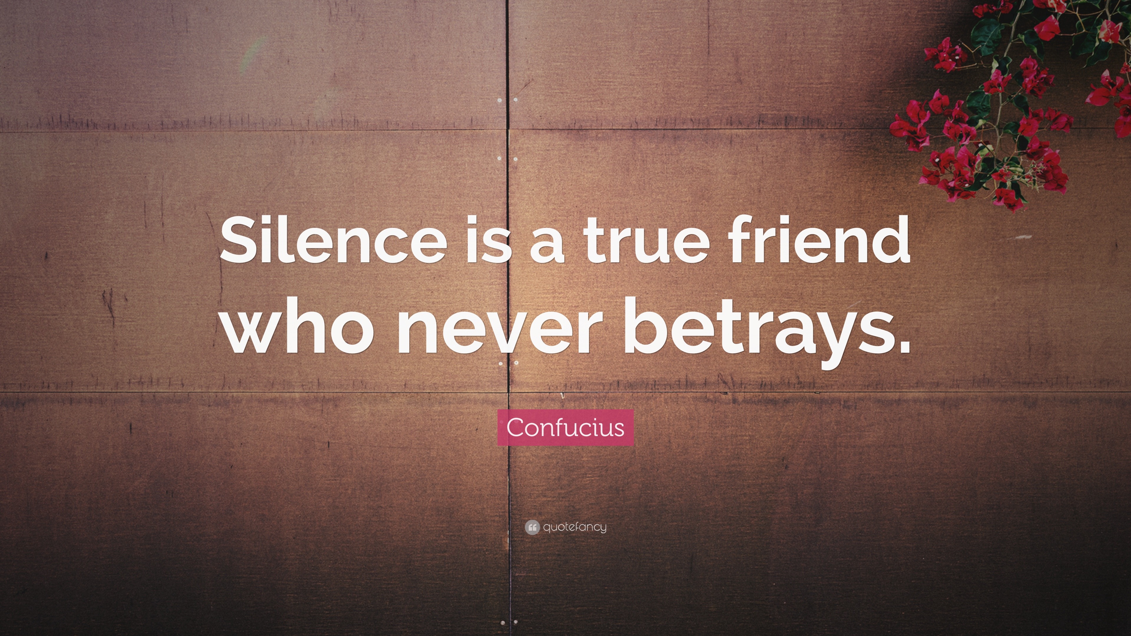silence is a true friend who never betrays essay