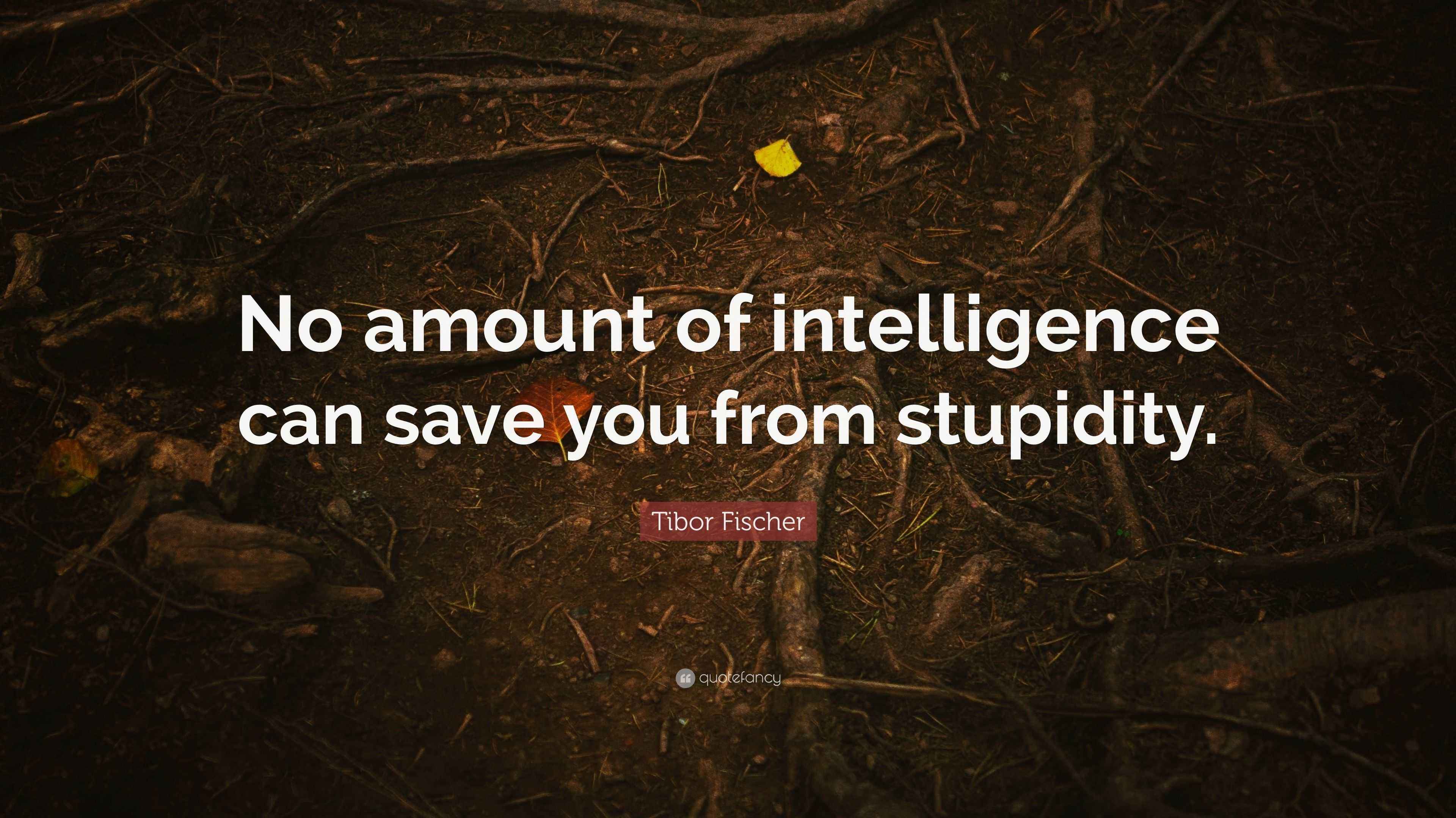 Tibor Fischer Quote “No amount of intelligence can save