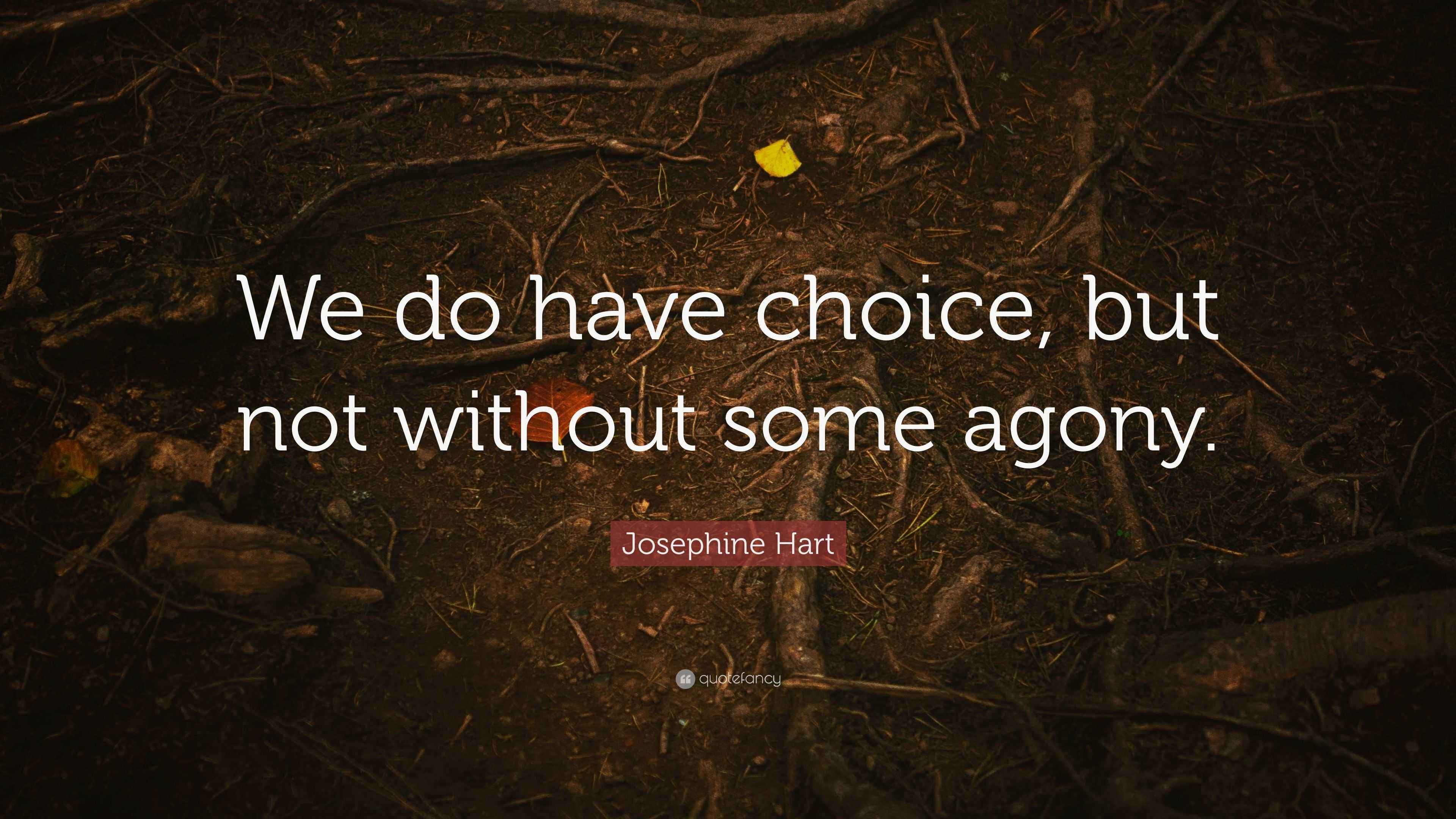 Josephine Hart Quote “We do have choice, but not without some agony.”