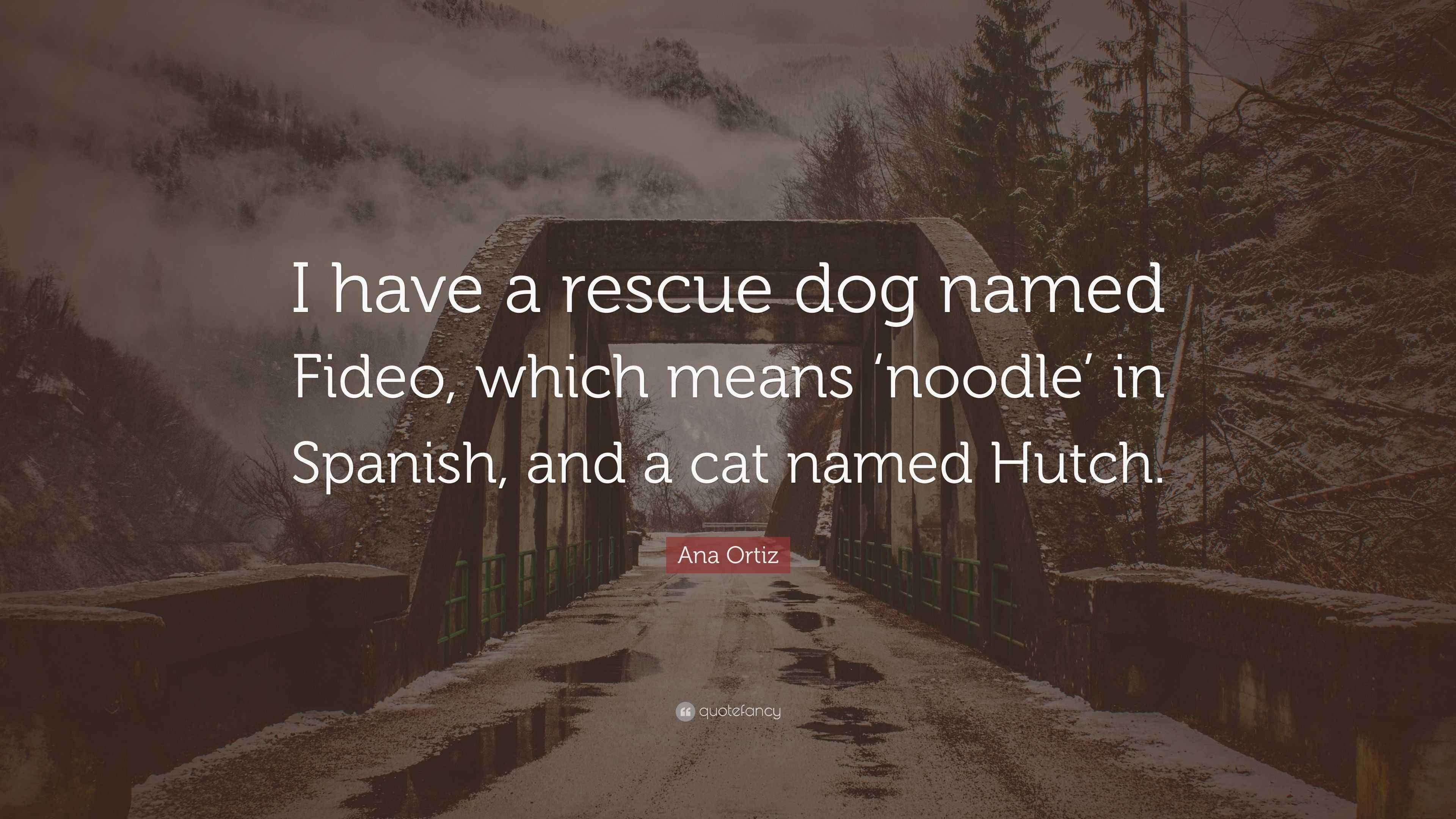 Ana Ortiz Quote “I have a rescue dog named Fideo, which means ‘noodle
