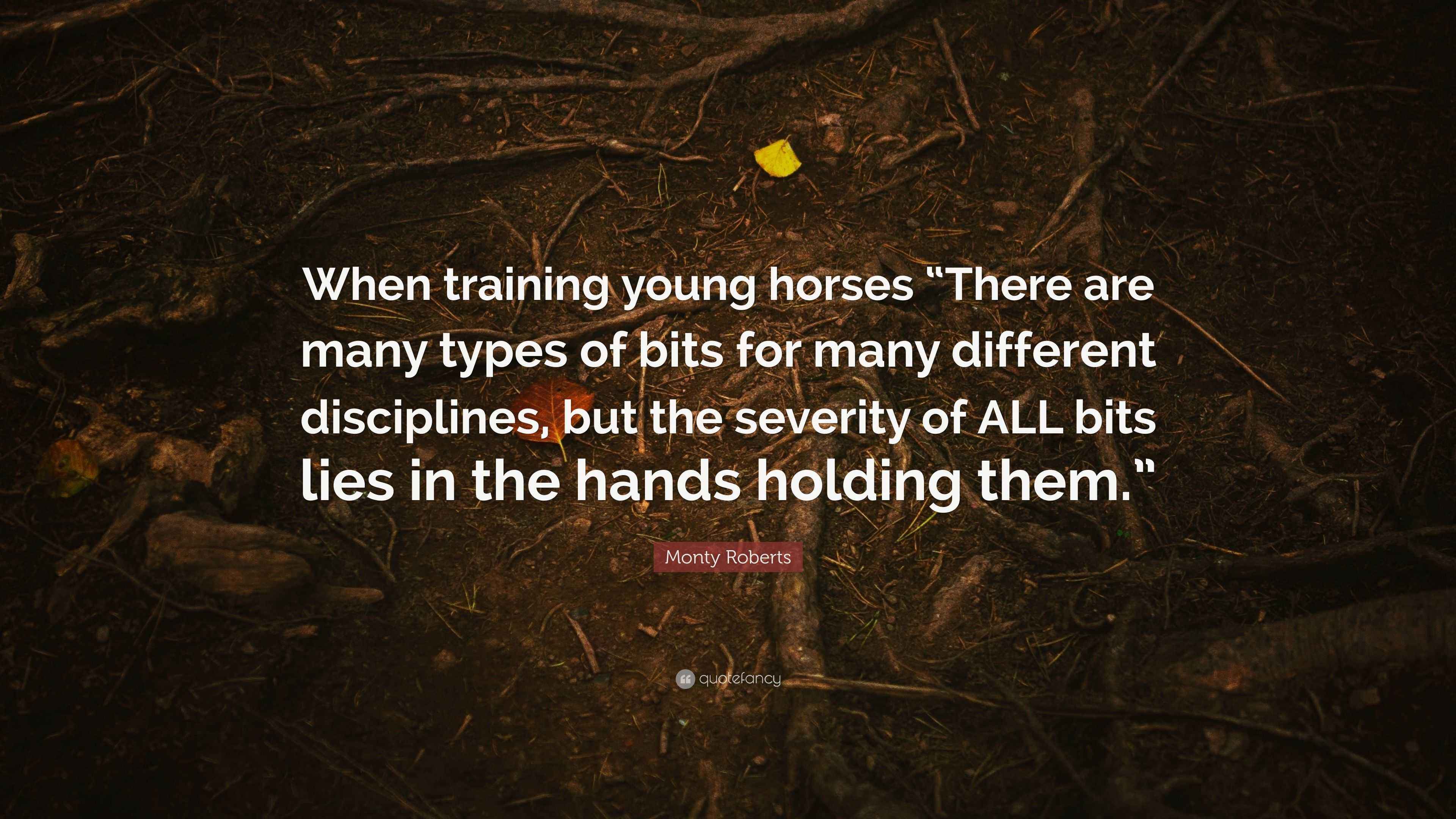 Monty Roberts Quote “When training young horses “There are many types