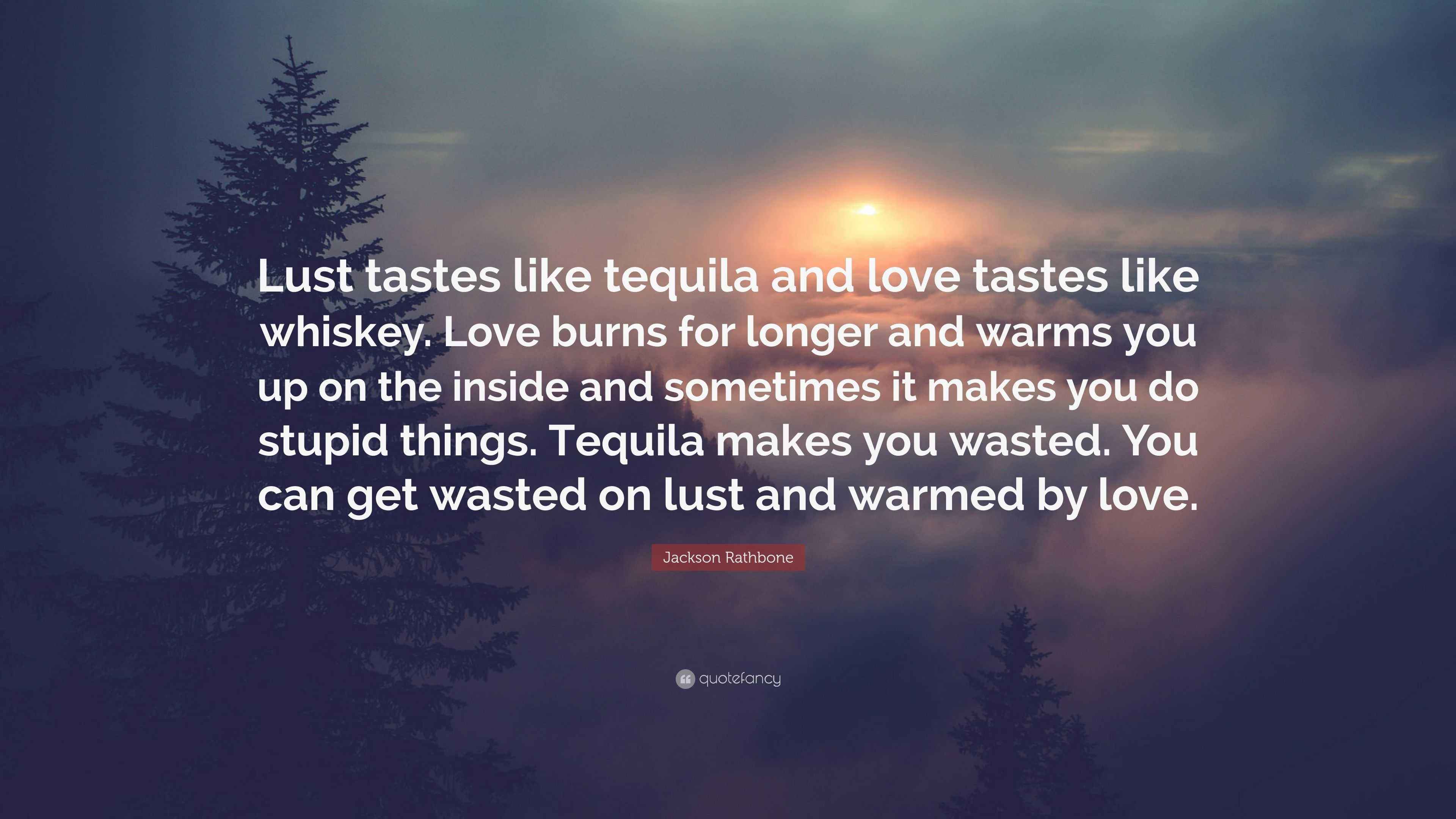 Jackson Rathbone Quote: “Lust tastes like tequila and love tastes like ...
