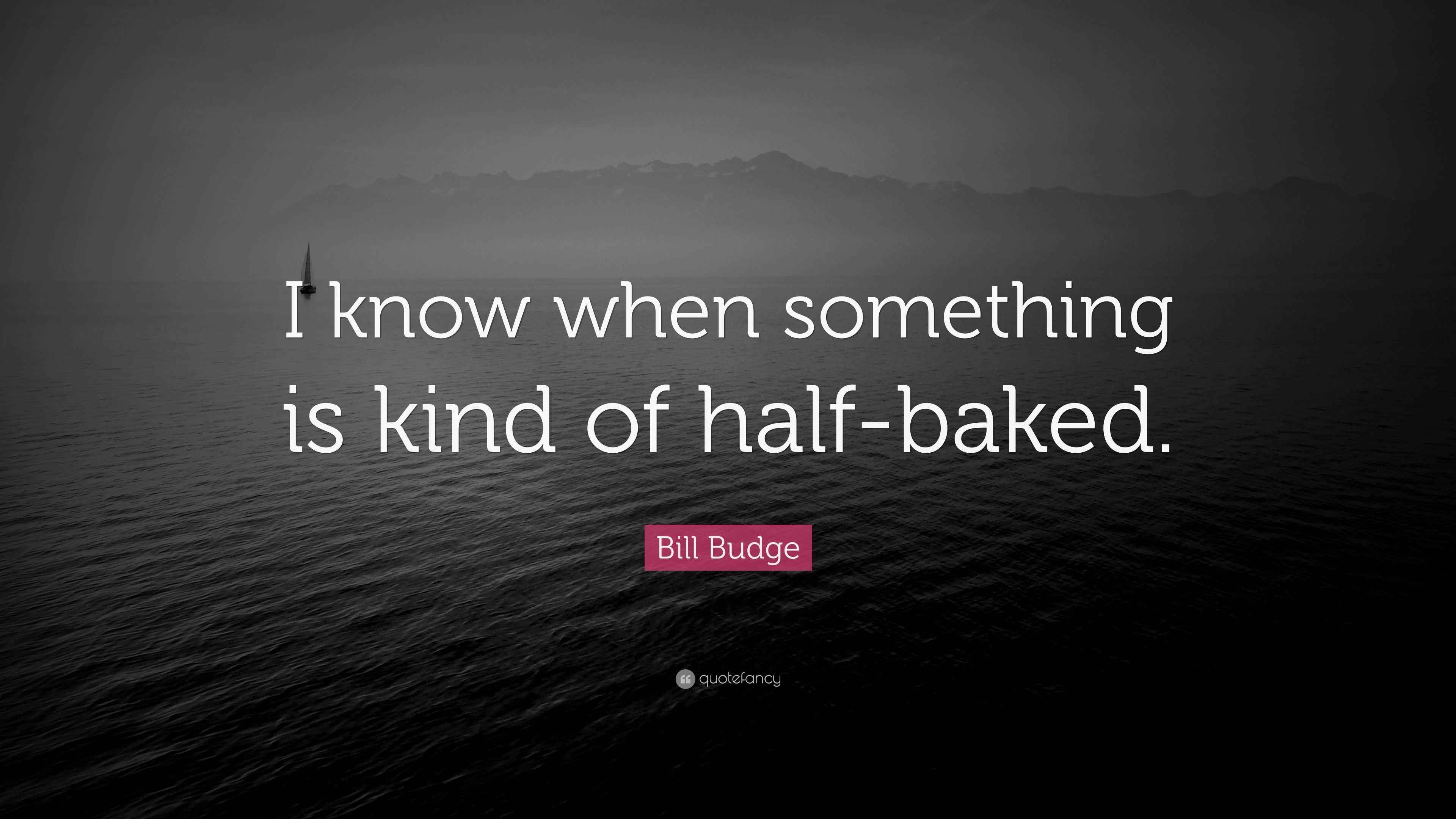 Bill Budge Quote “I know when something is kind of halfbaked.”