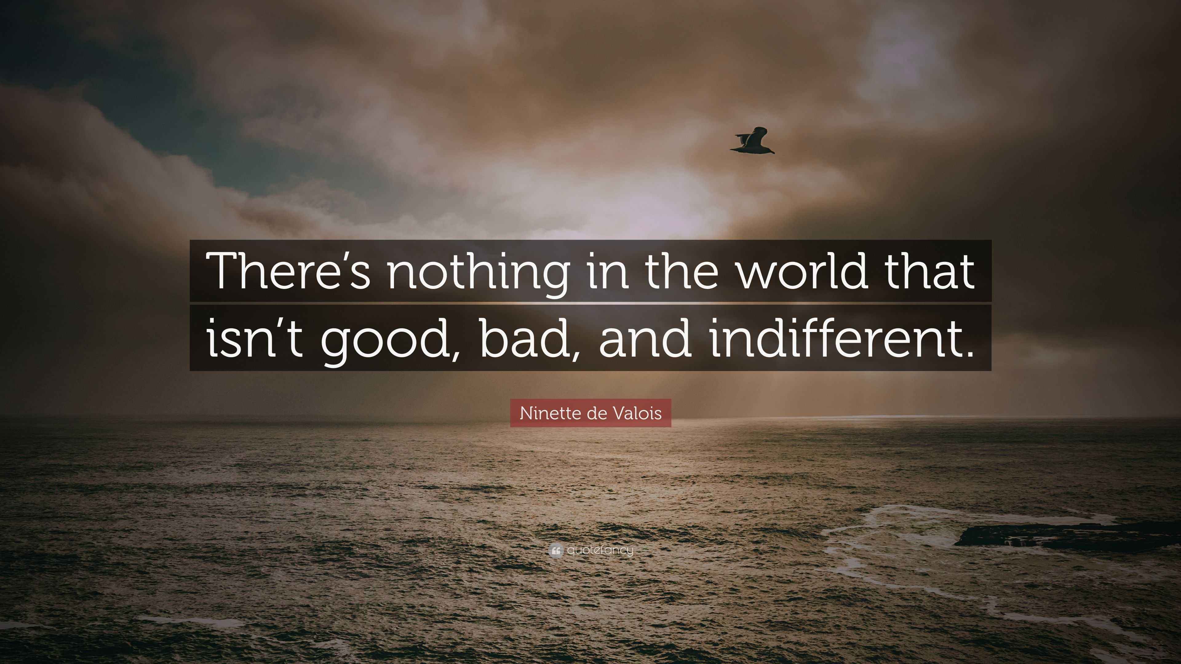 Ninette de Valois Quote: “There’s nothing in the world that isn’t good ...