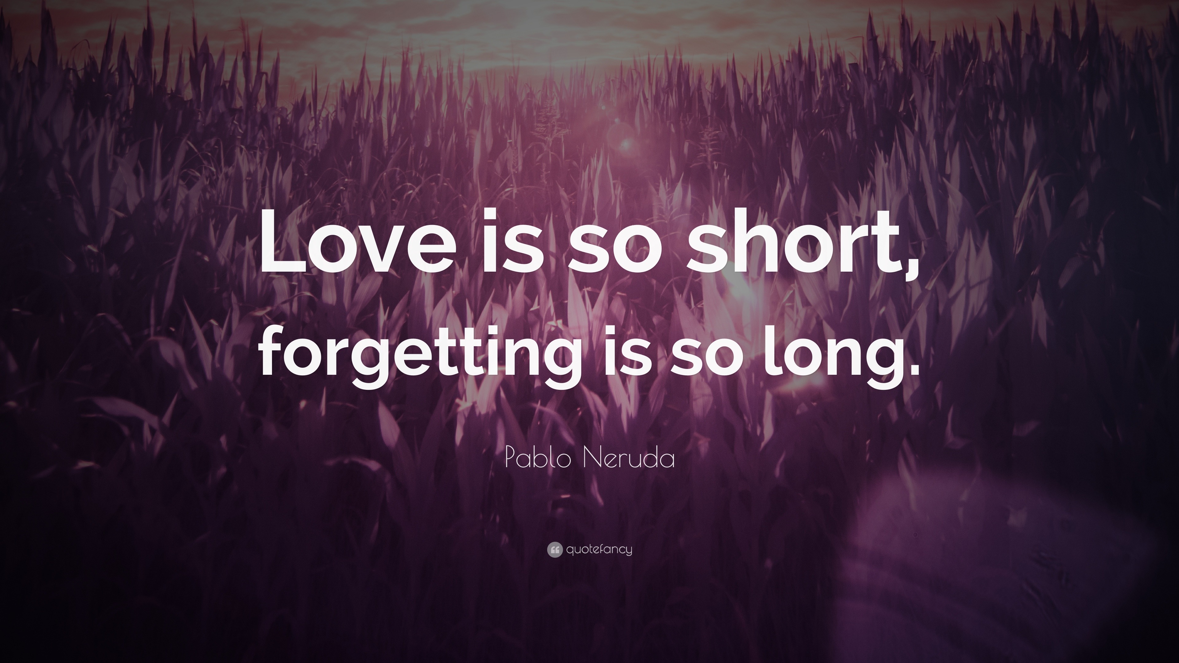 Pablo Neruda Quote: “Love is so short, forgetting is so long.”