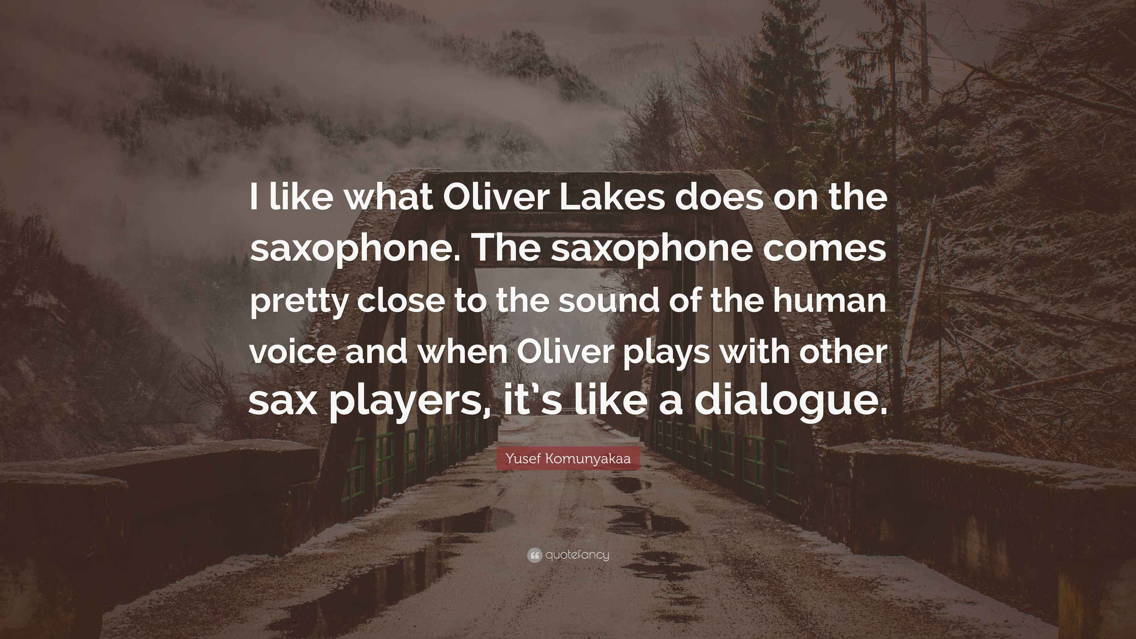 Yusef Komunyakaa Quote “I like what Oliver Lakes does on the saxophone