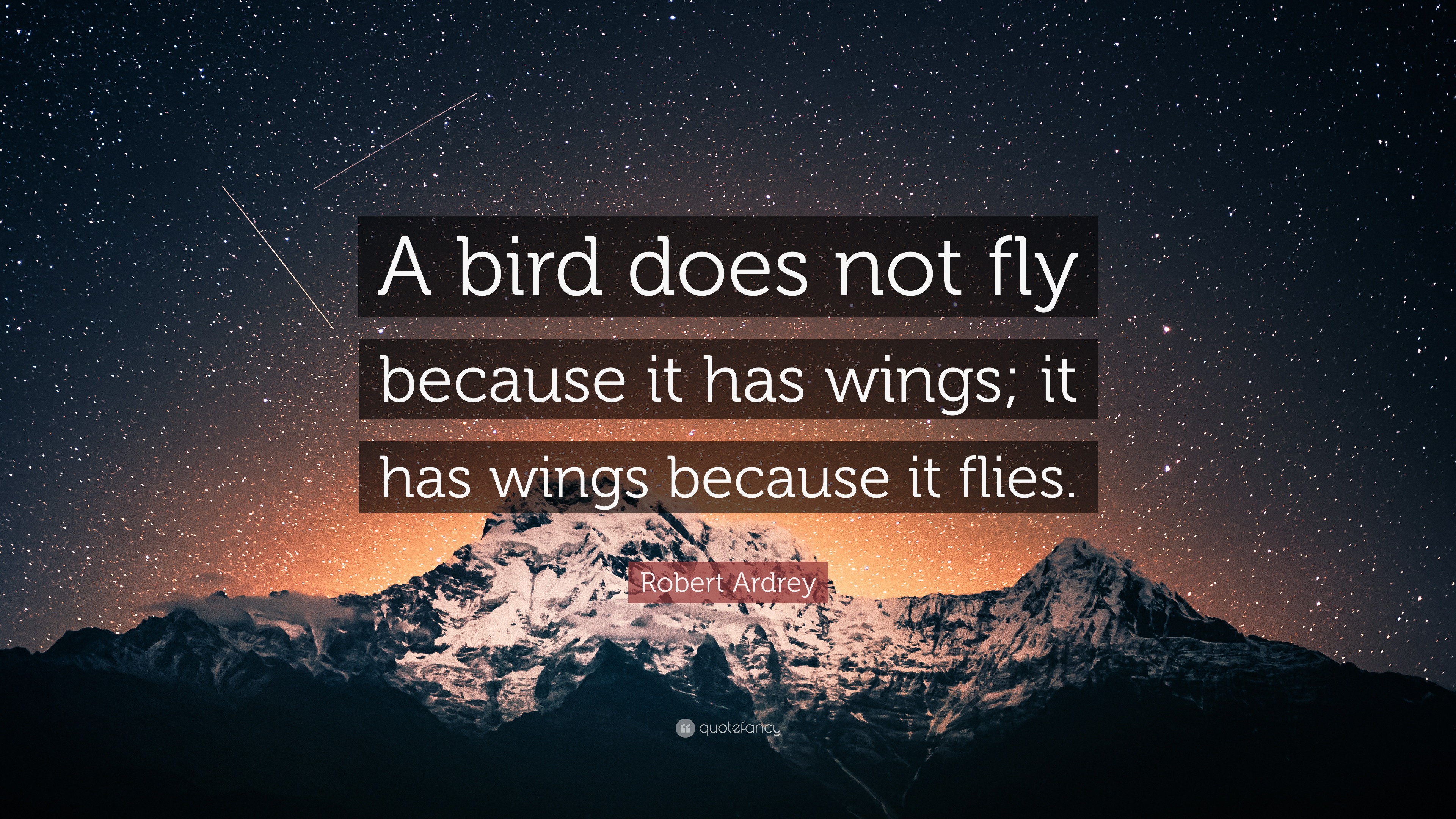 Robert Ardrey Quote: “A bird does not fly because it has wings; it has ...