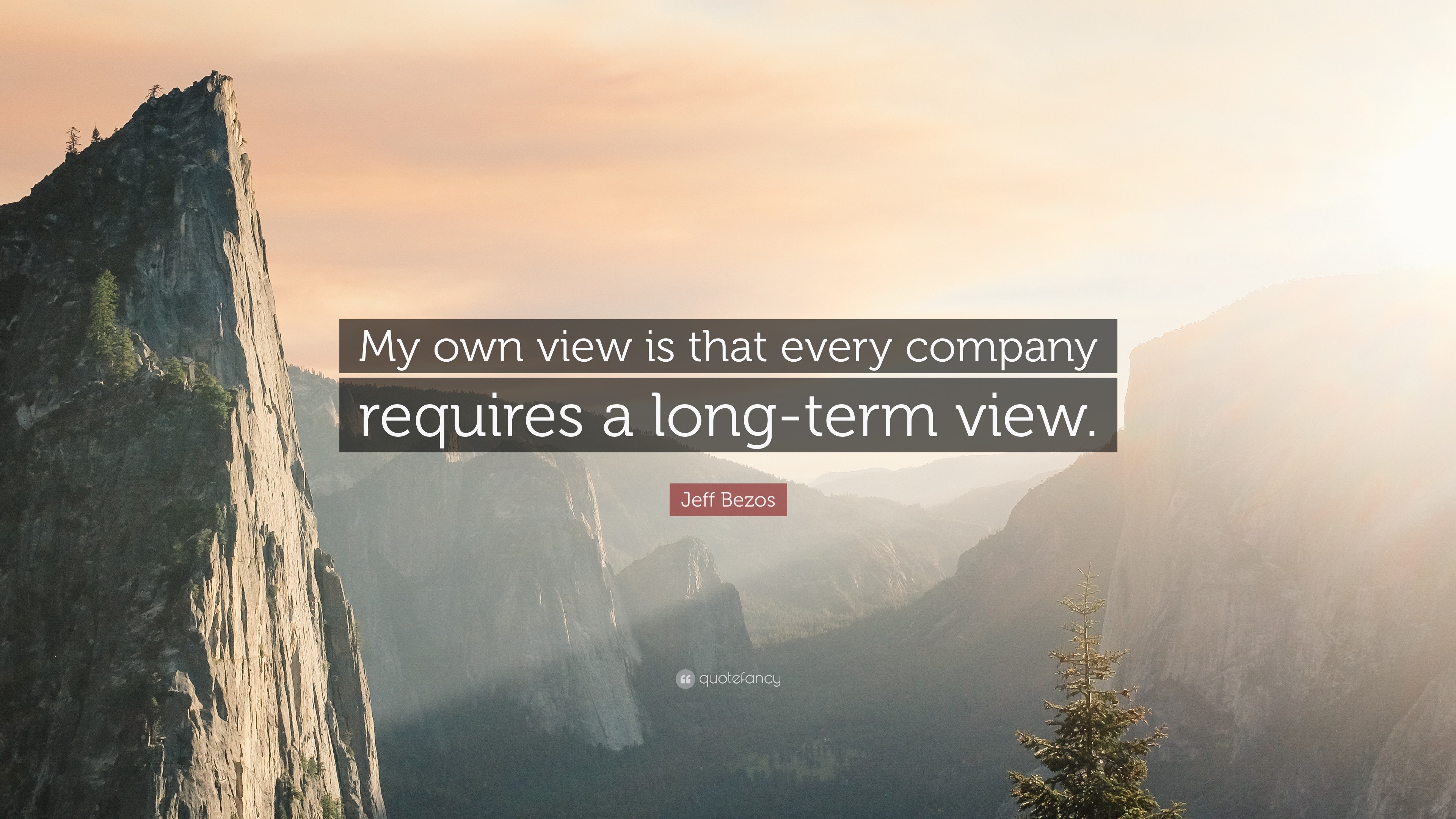 Jeff Bezos Quote: “My own view is that every company requires a long ...