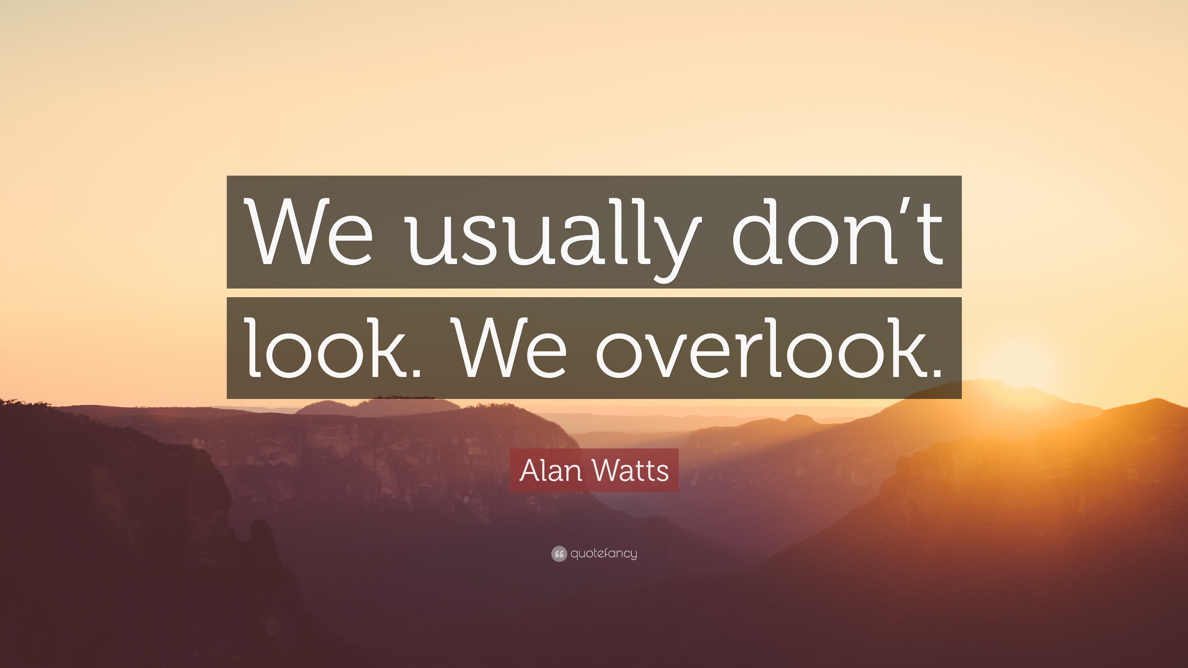 Alan Watts Quote “We usually don t look We overlook ”