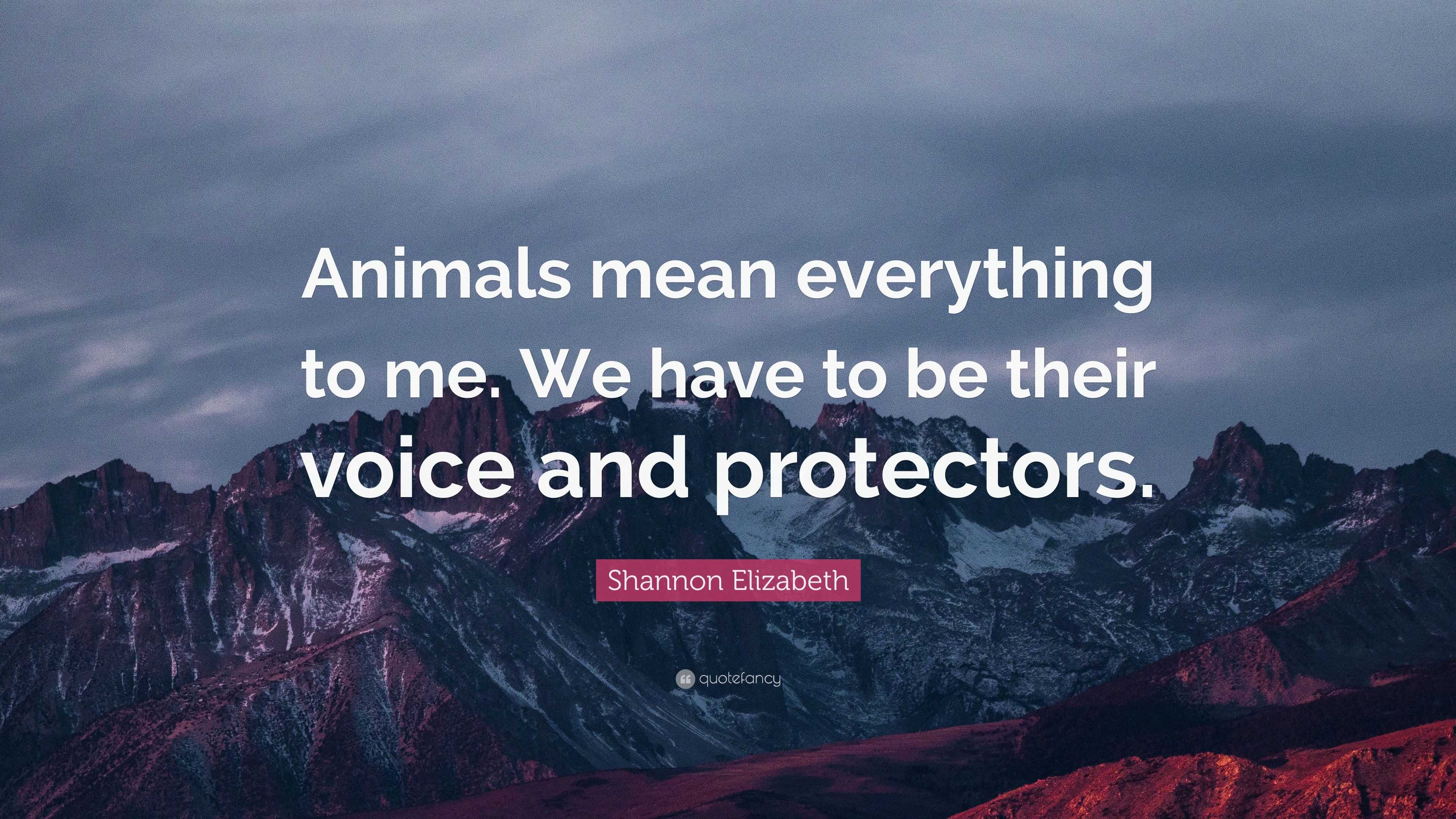 Shannon Elizabeth Quote: “Animals mean everything to me. We have to be ...