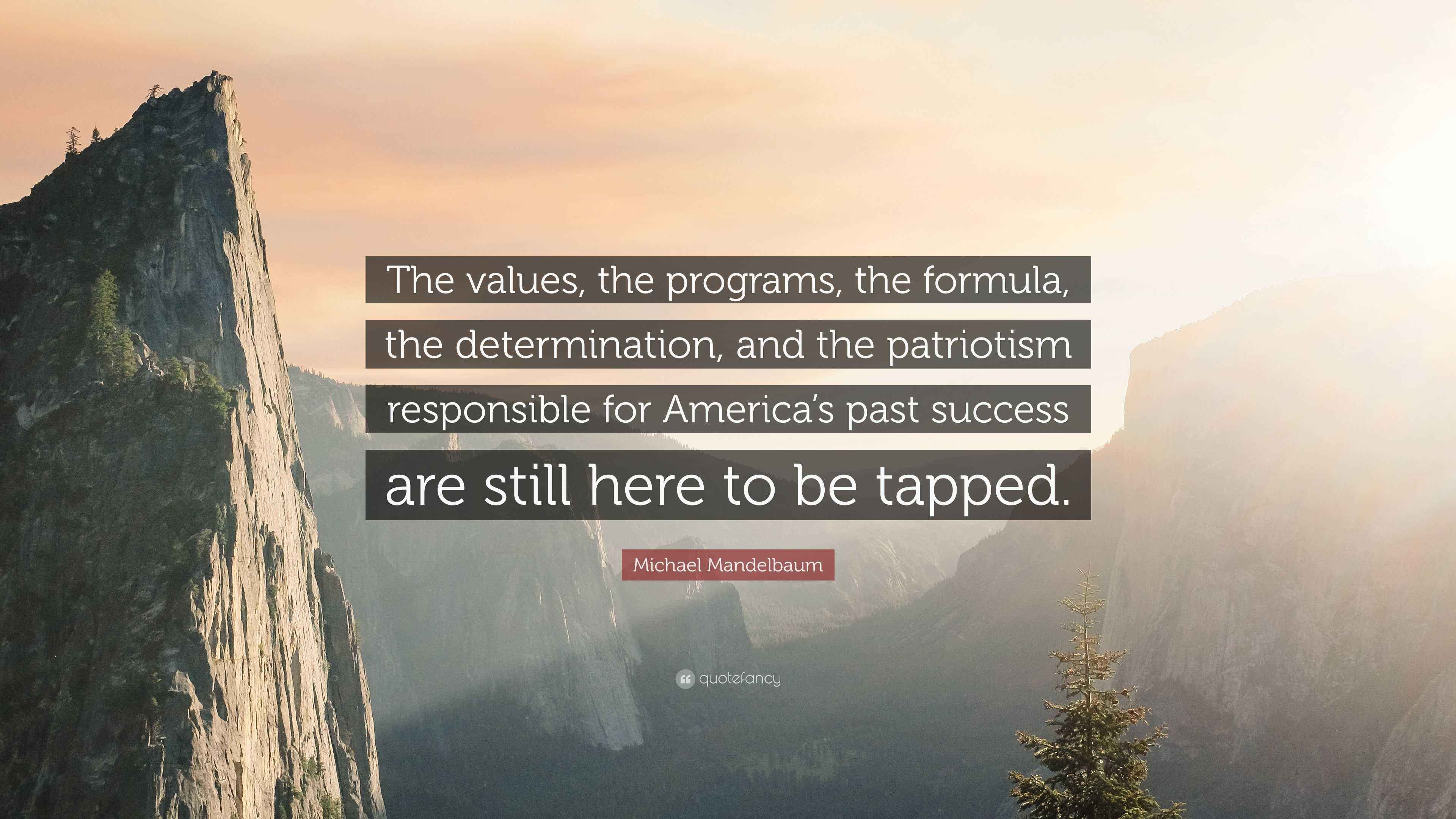 Quotes About Program Values Michael Mandelbaum Quote: “The values, the programs, the formula, the ...