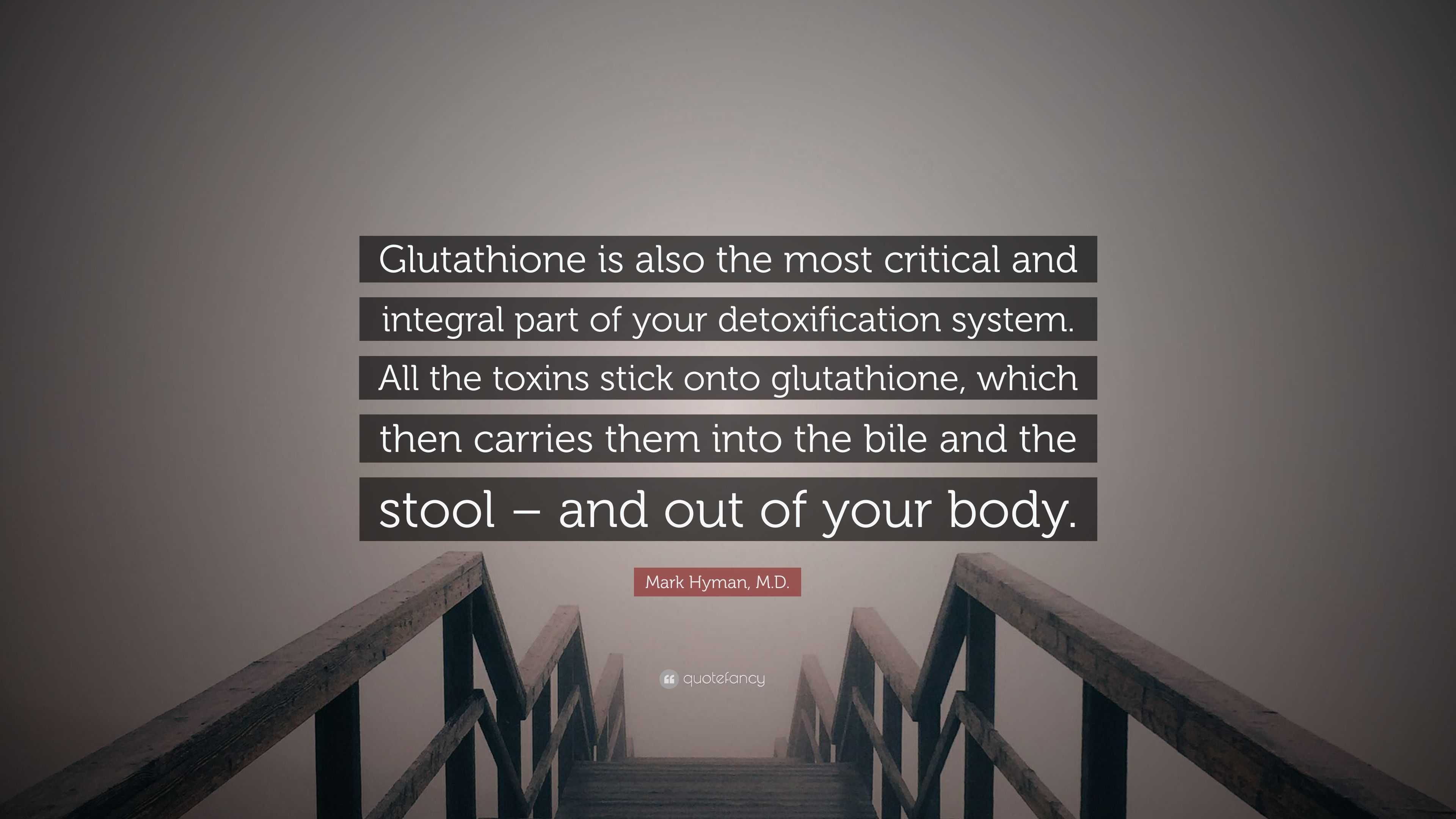 Mark Hyman, M.D. Quote: Glutathione is also the most critical and integral part of your detoxification system. All the toxins stick onto... Mark Hyman, M.D. Quote: Glutathione is also the most critical and integral part of your detoxification system. All the toxins stick onto...
