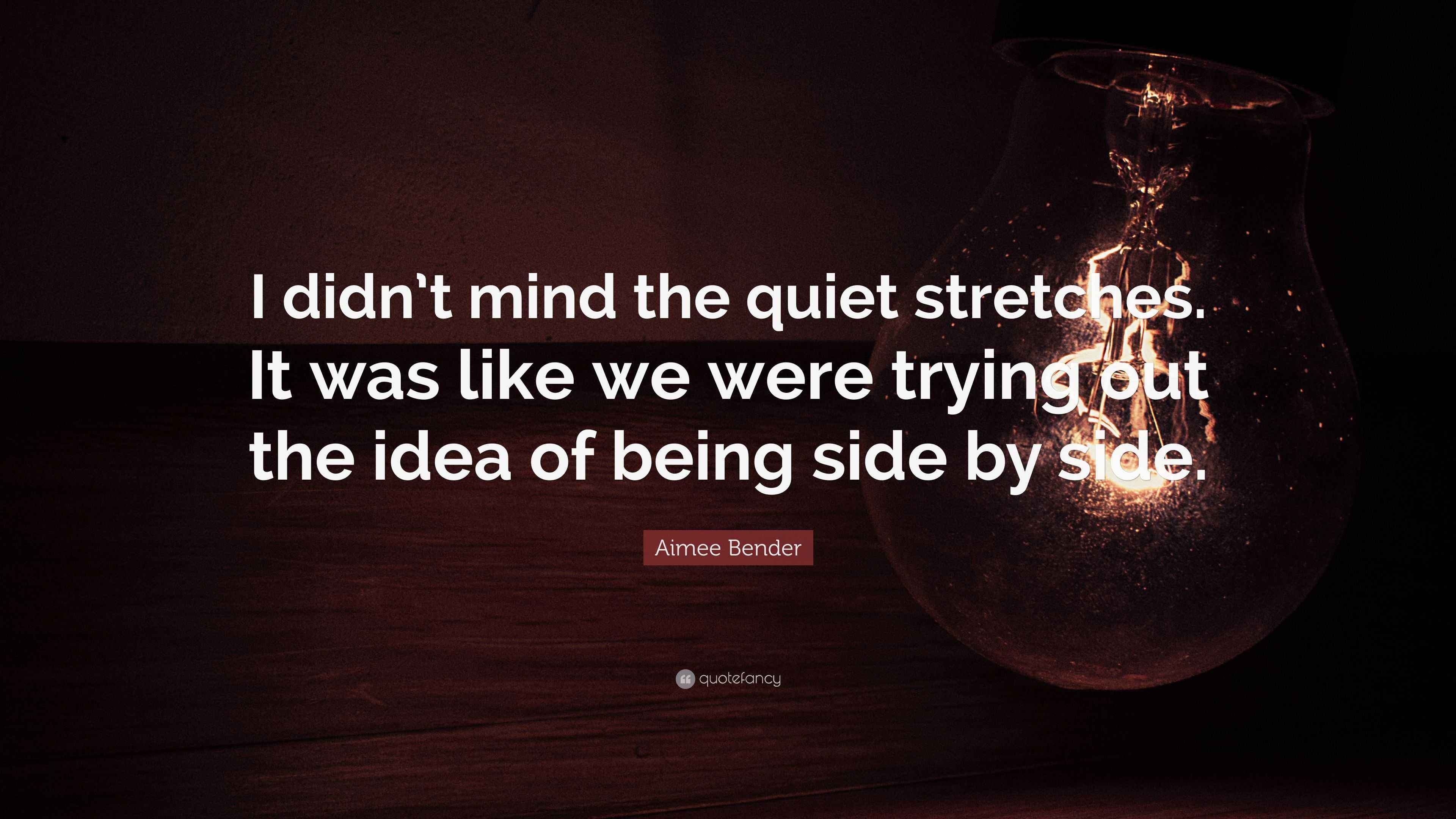Aimee Bender Quote: “I didn’t mind the quiet stretches. It was like we