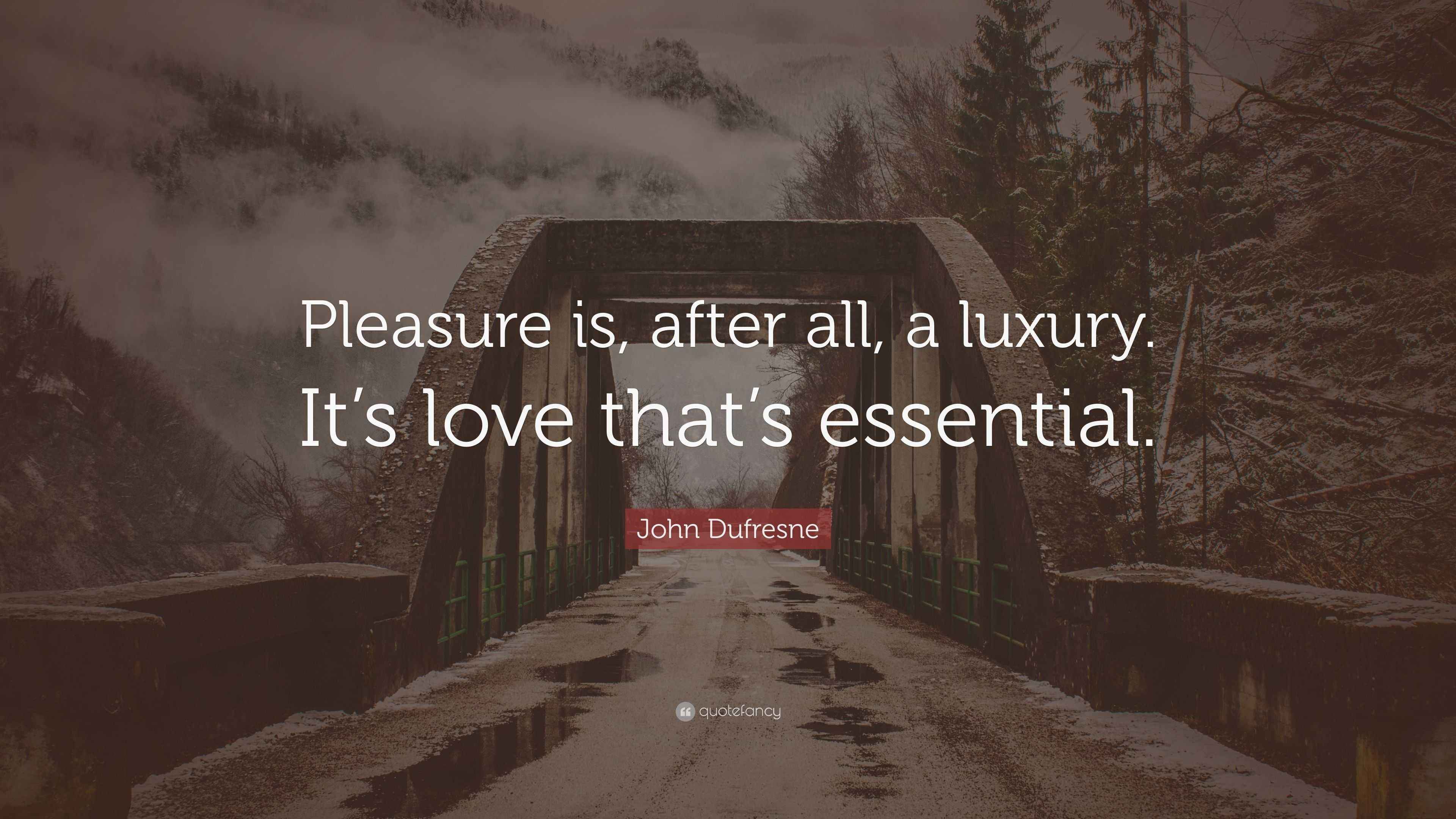 John Dufresne Quote “Pleasure is, after all, a luxury. It’s love that