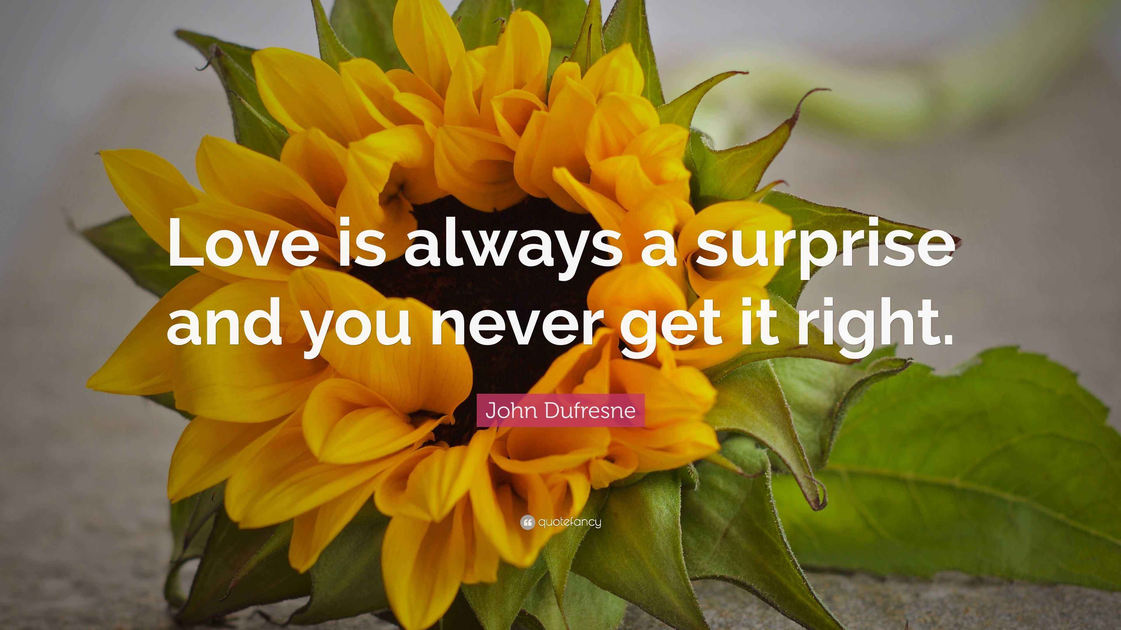 John Dufresne Quote “Love is always a surprise and you never get it