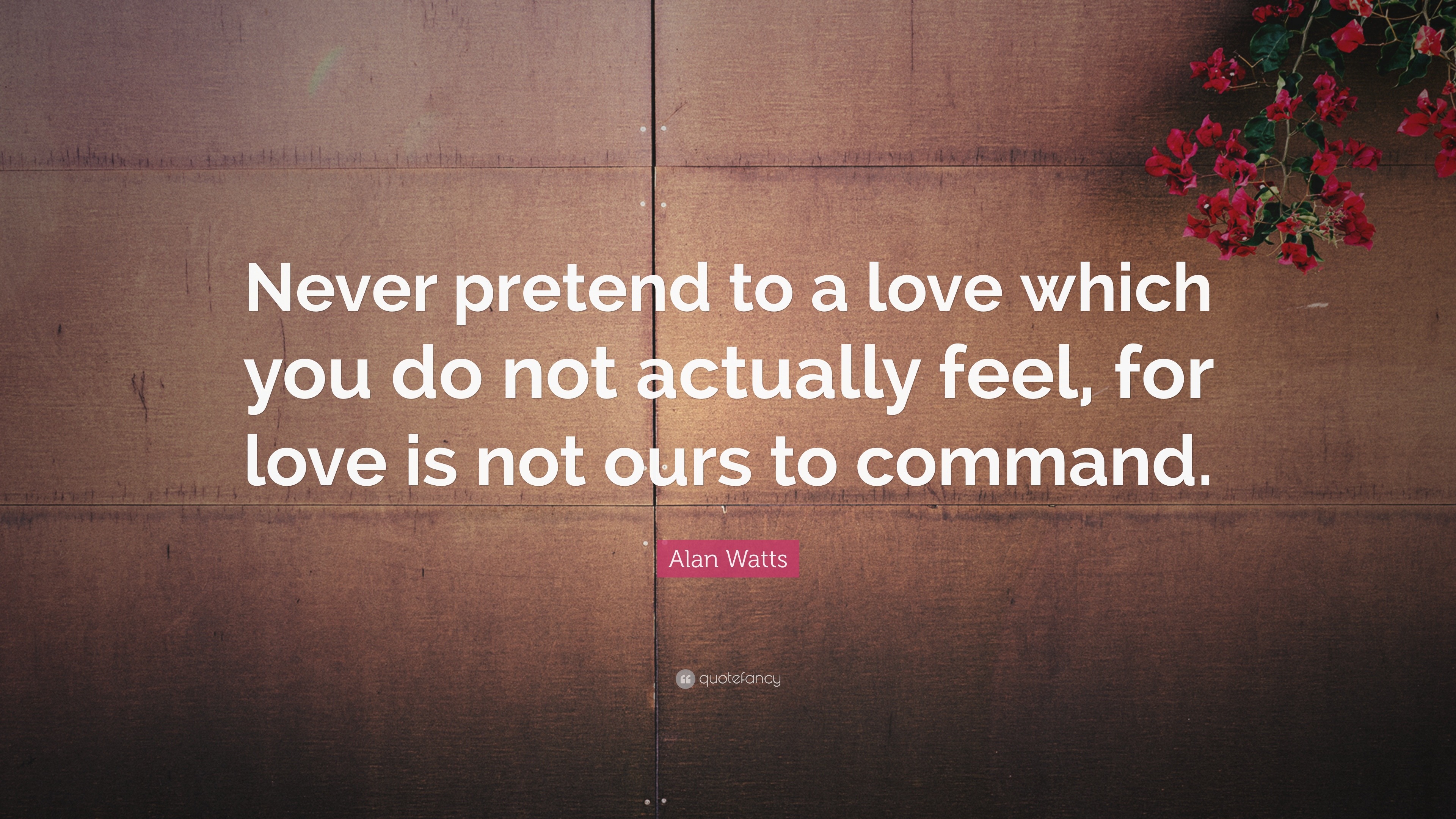 Alan Watts Quote: “Never pretend to a love which you do not actually