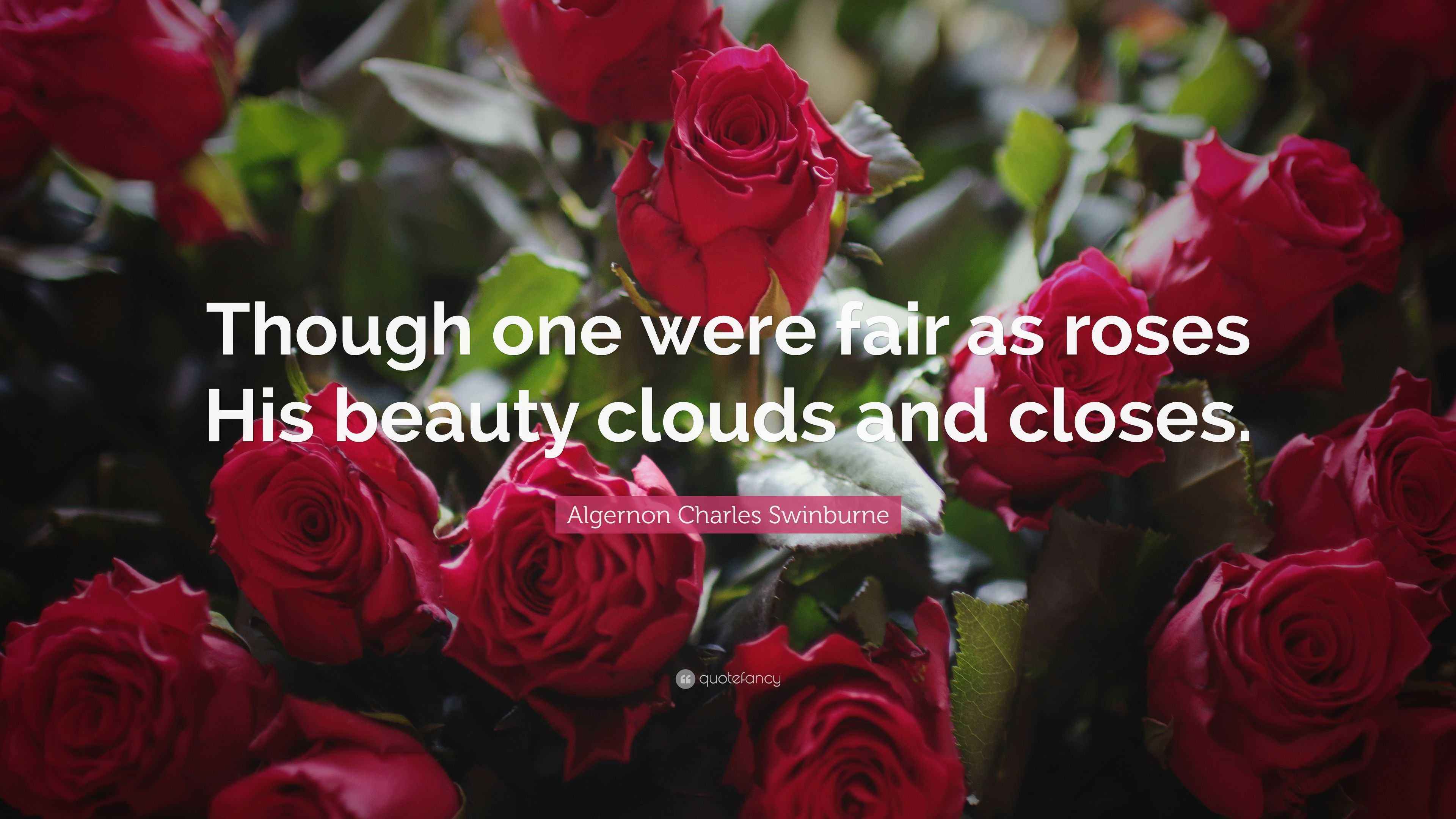 Flowers For Algernon Quotes About Rose Best Flower Site