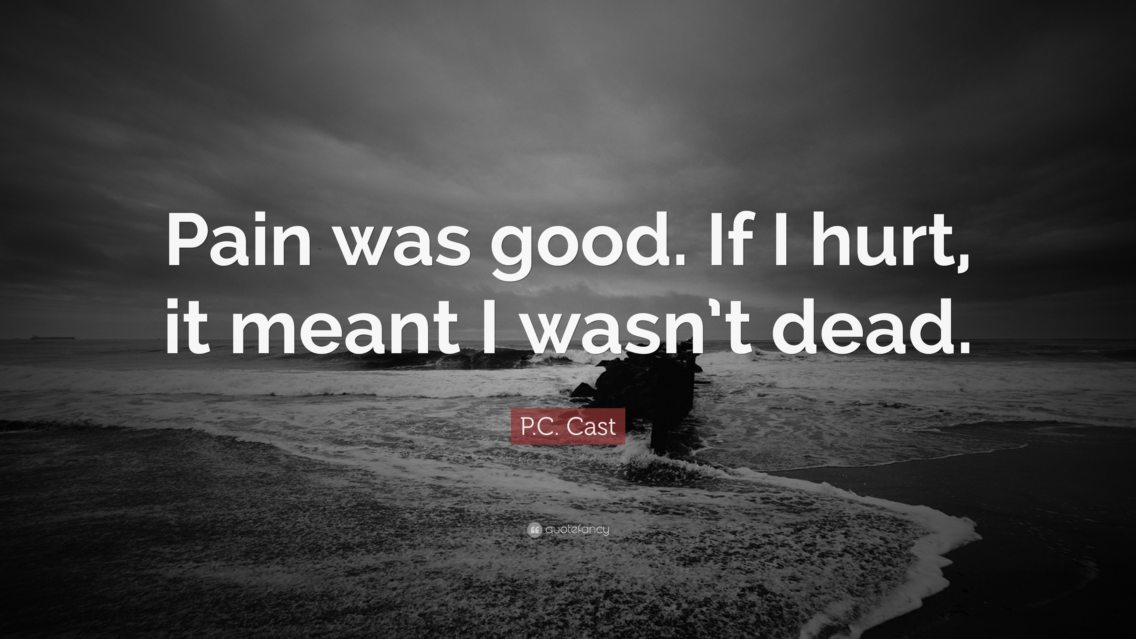 P.C. Cast Quote: “Pain was good. If I hurt, it meant I wasn’t dead.”