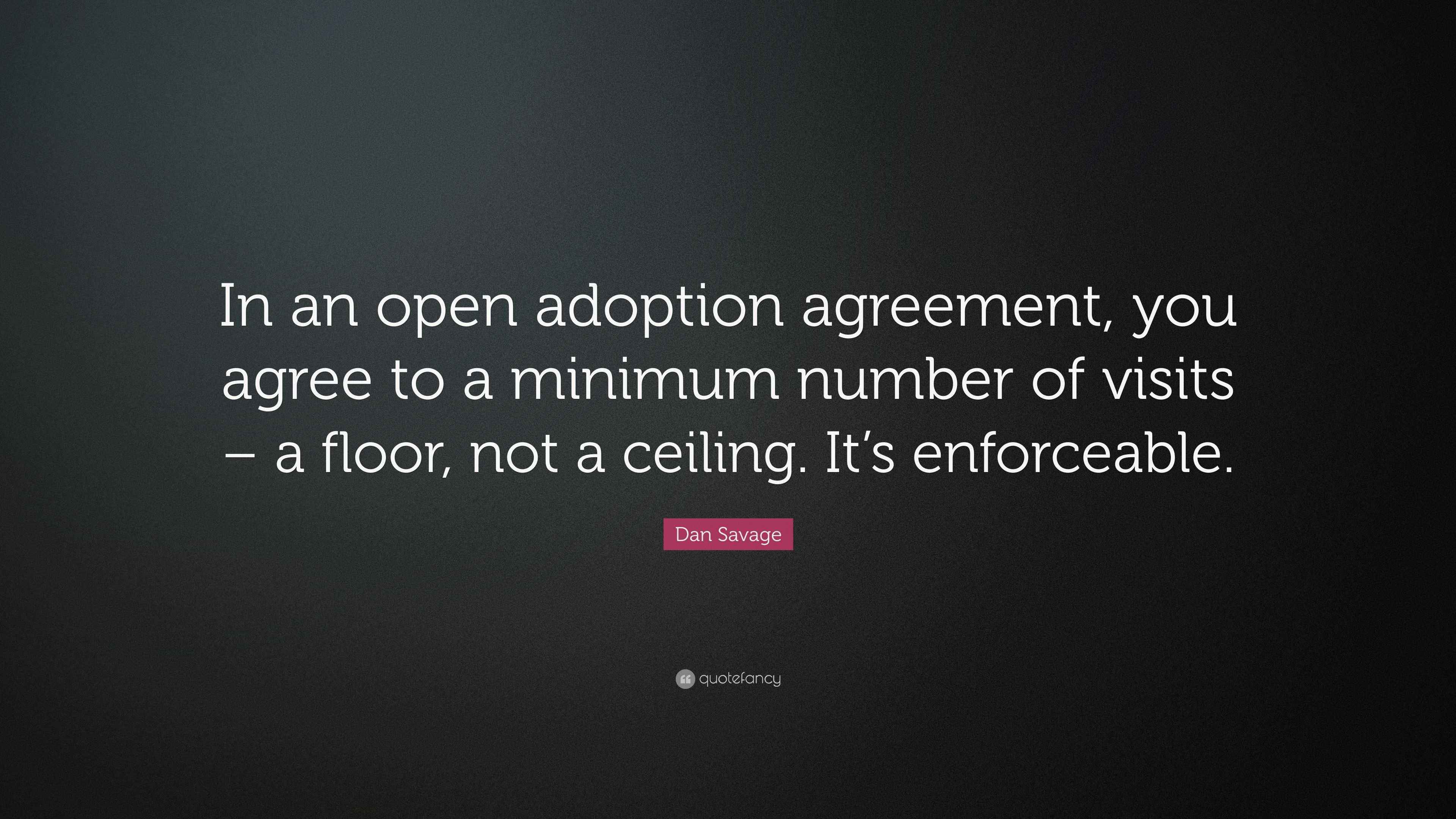 Dan Savage Quote “In an open adoption agreement, you agree to a