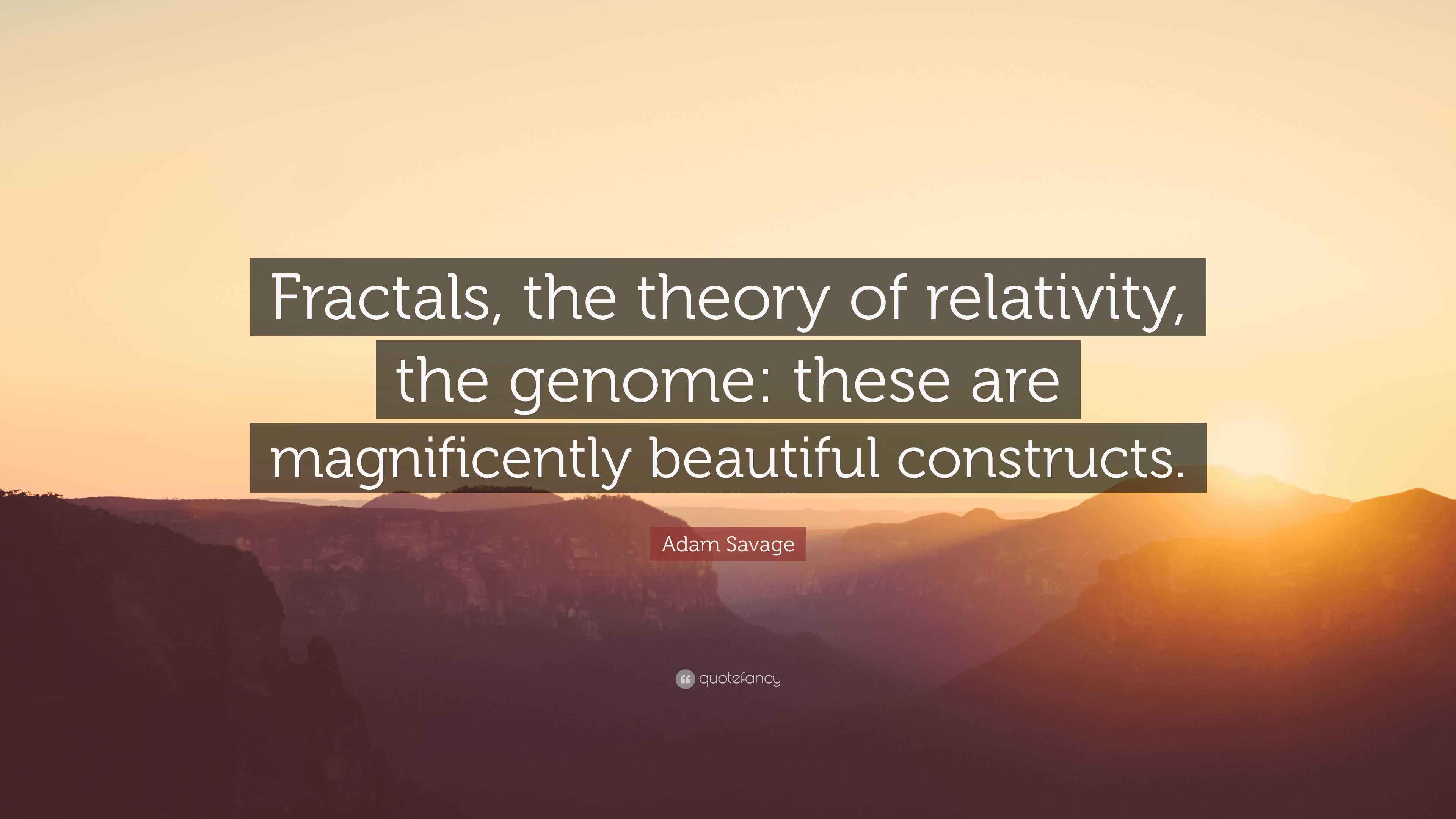 Adam Savage Quote “Fractals, the theory of relativity, the genome