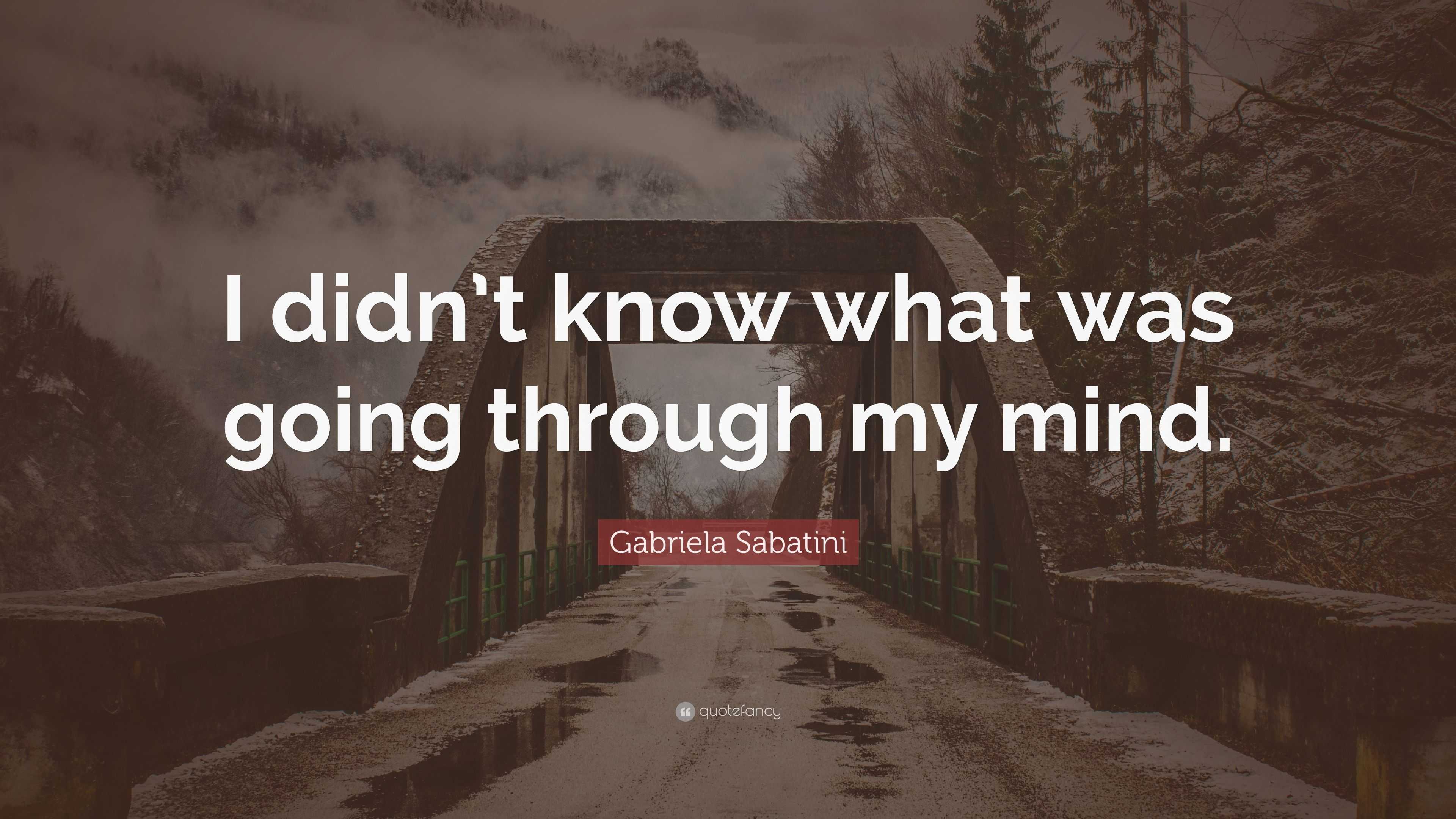 Gabriela Sabatini Quote: “I didn’t know what was going through my mind.”