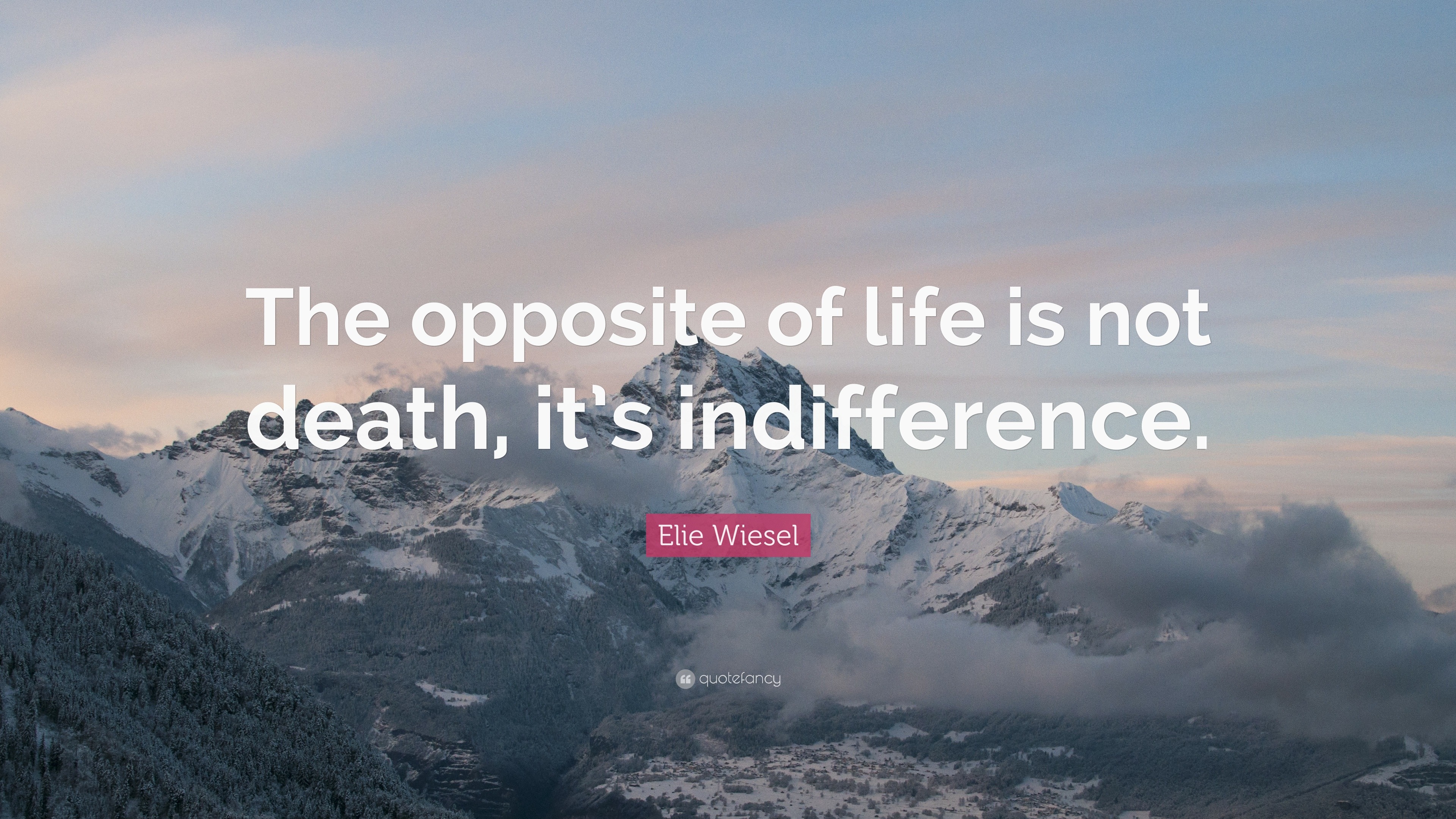 Elie Wiesel Quote: “The opposite of life is not death, it’s indifference.”