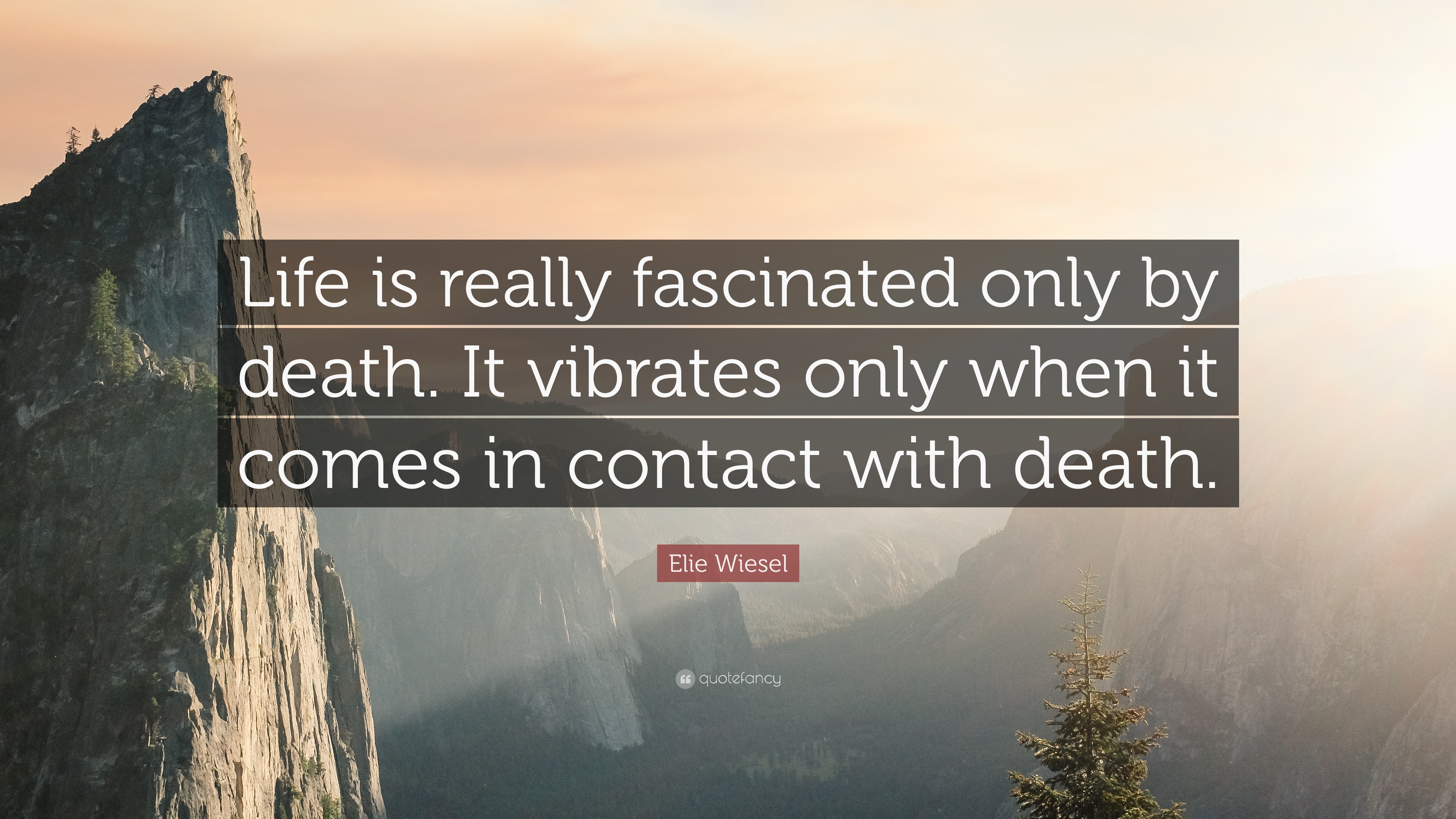 Elie Wiesel Quote “Life is really fascinated only by It vibrates only