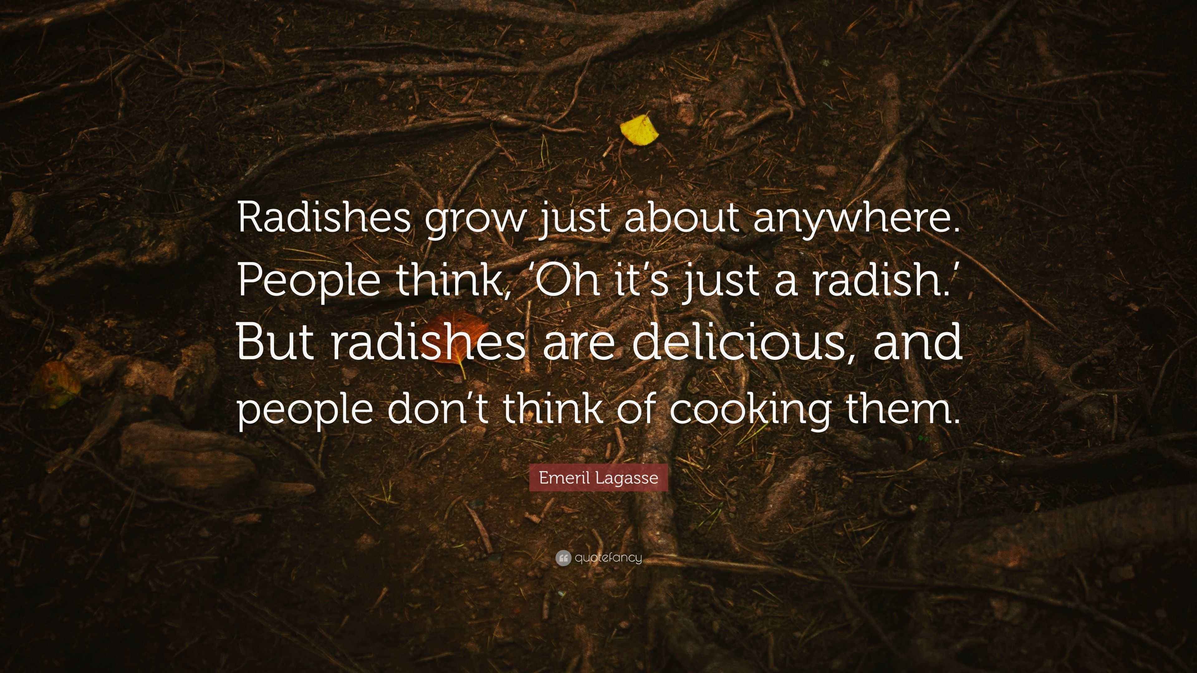 Emeril Lagasse Quote “Radishes grow just about anywhere. People think