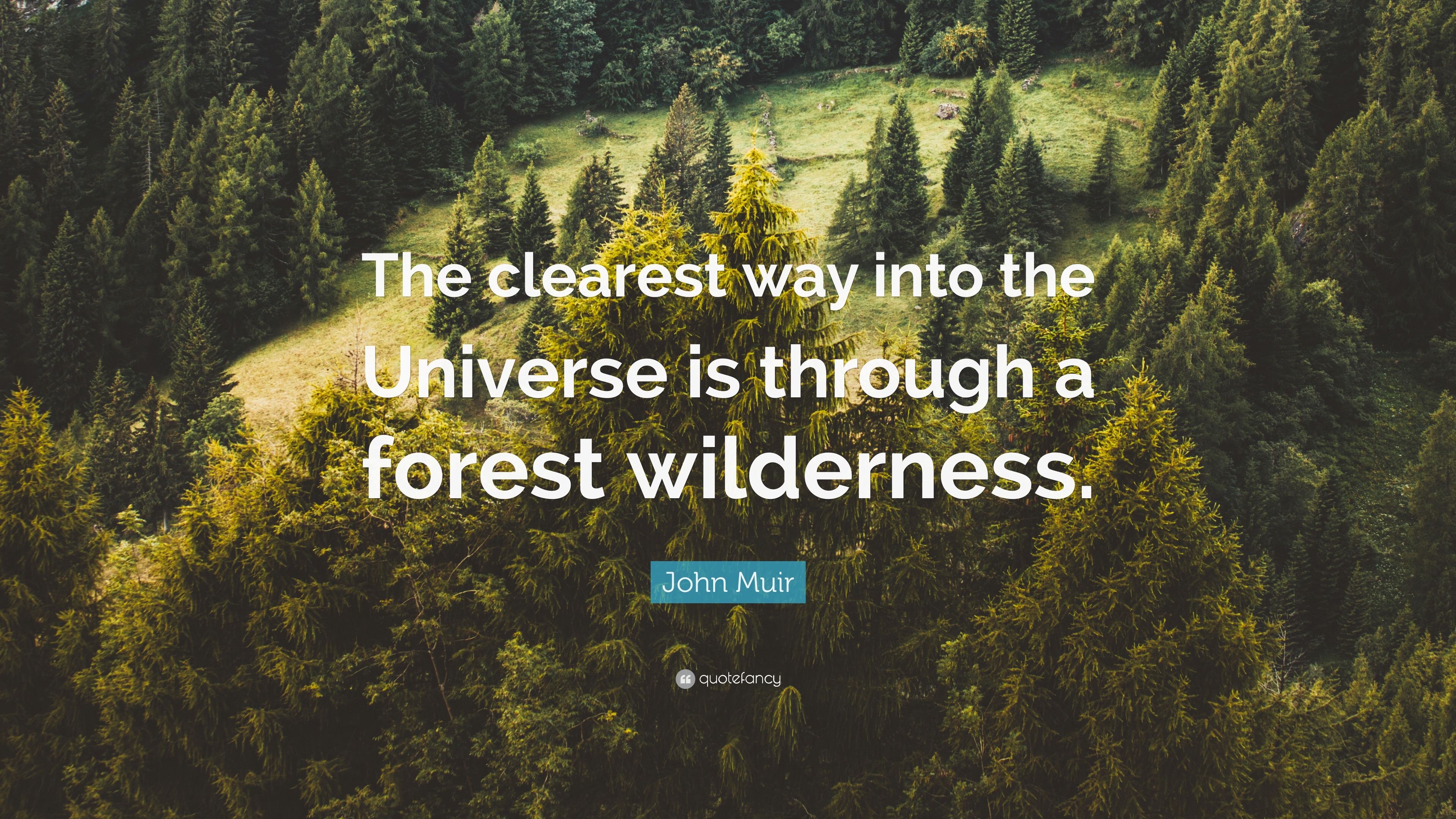 John Muir Quote: “The clearest way into the Universe is through a ...