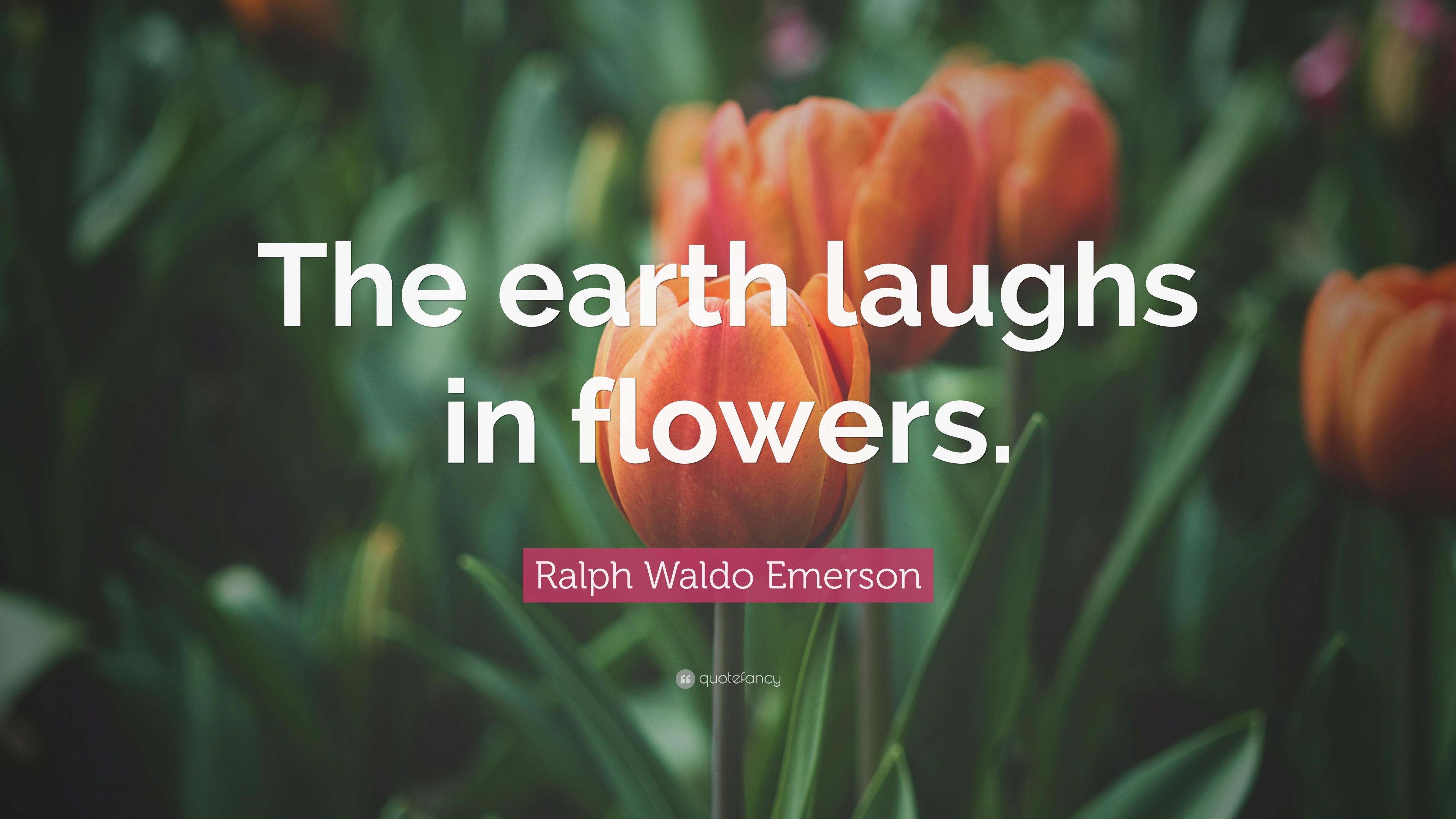 Ralph Waldo Emerson Quote: "The earth laughs in flowers ...