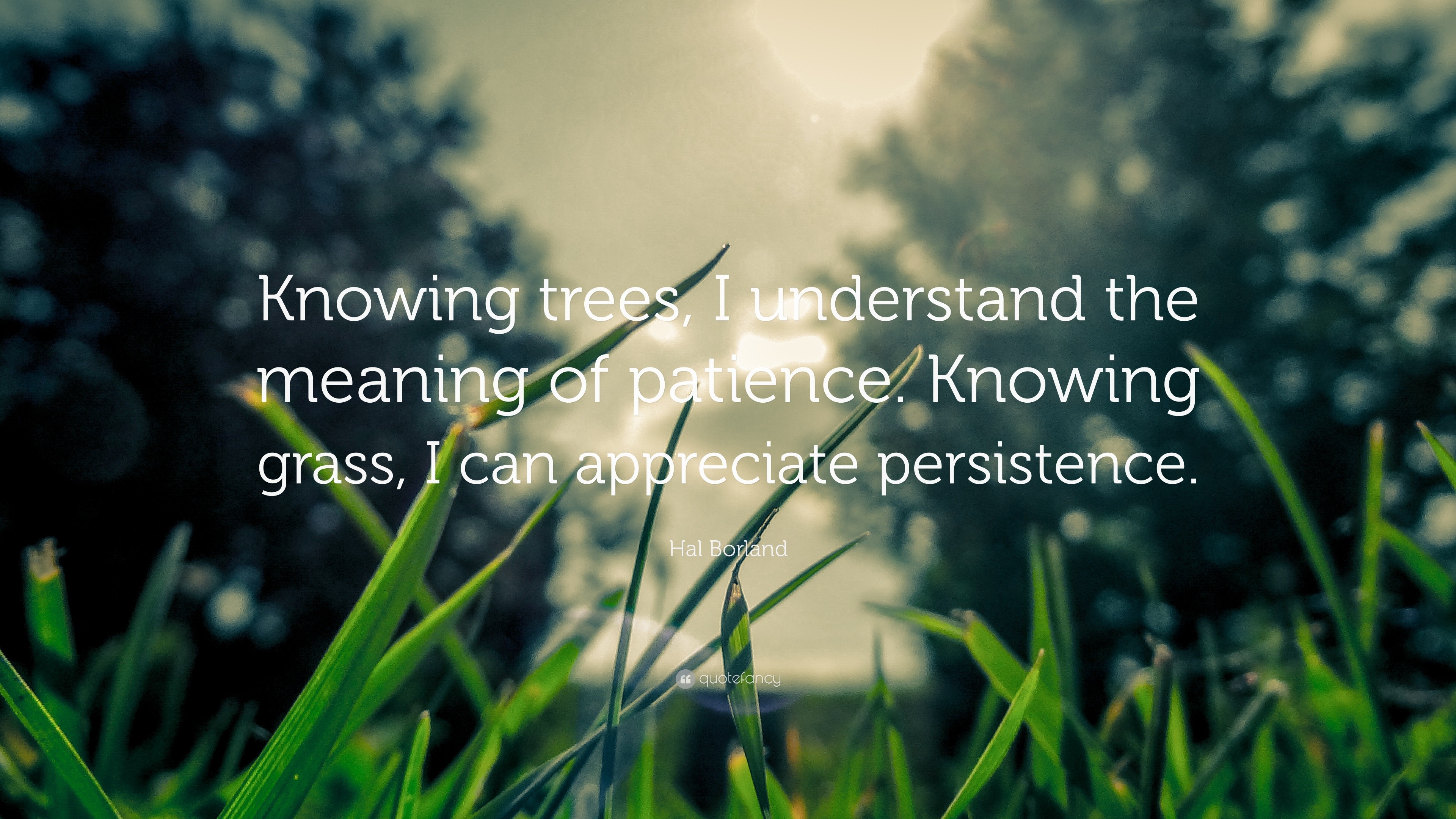 Hal Borland Quote: “Knowing trees, I understand the meaning of patience