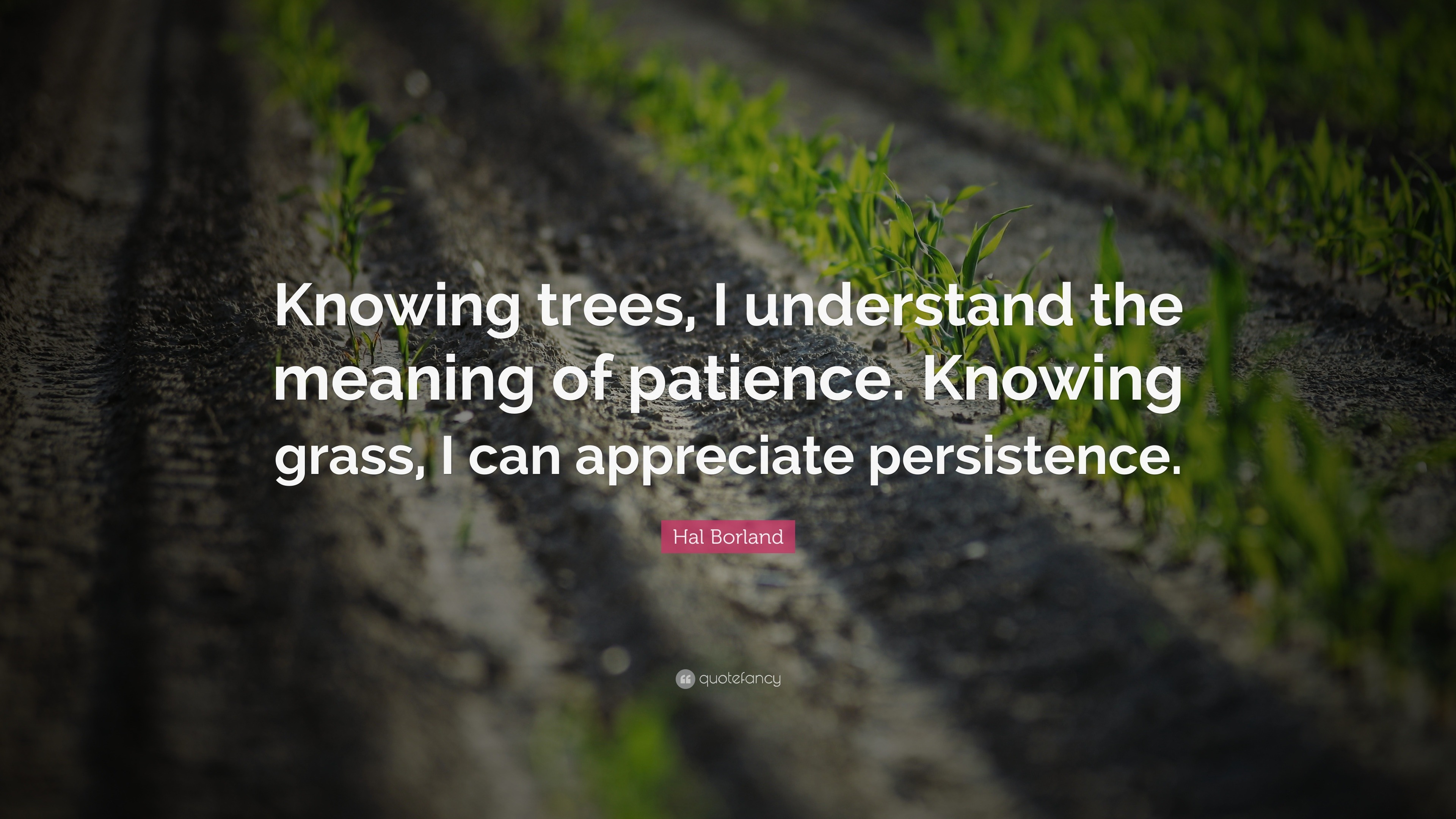 Hal Borland Quote: “Knowing trees, I understand the meaning of patience ...