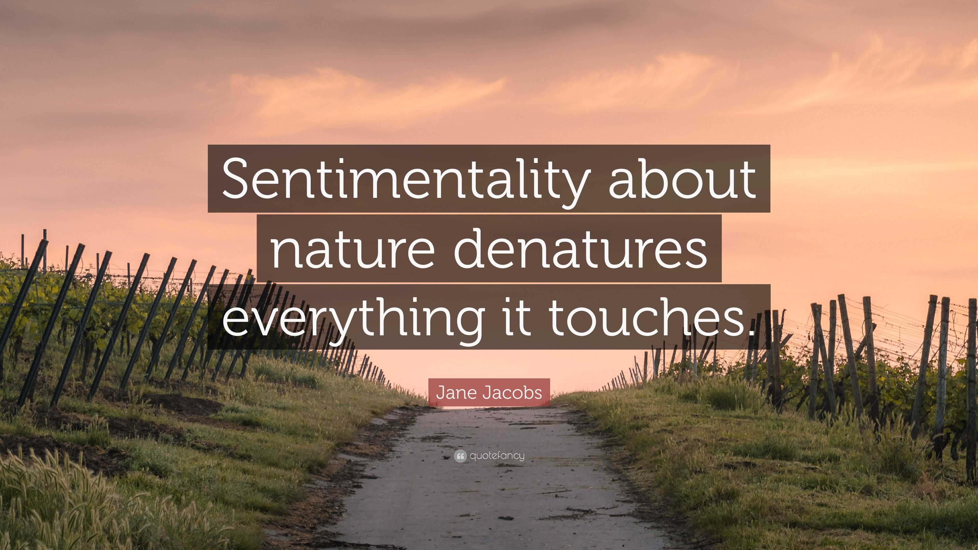 Jane Jacobs Quote: “sentimentality About Nature Denatures Everything It 