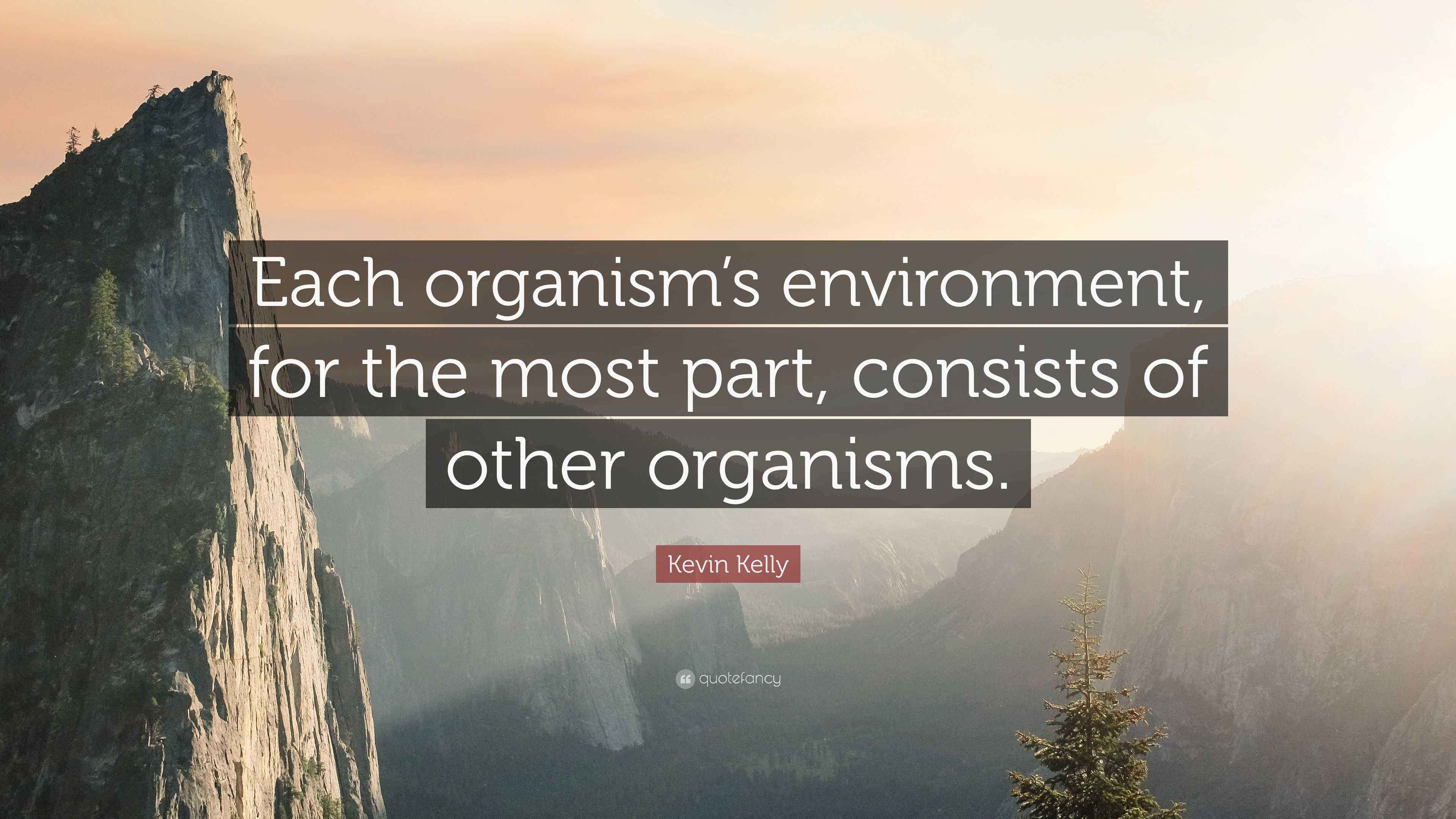 Kevin Kelly Quote “Each organism’s environment, for the most part
