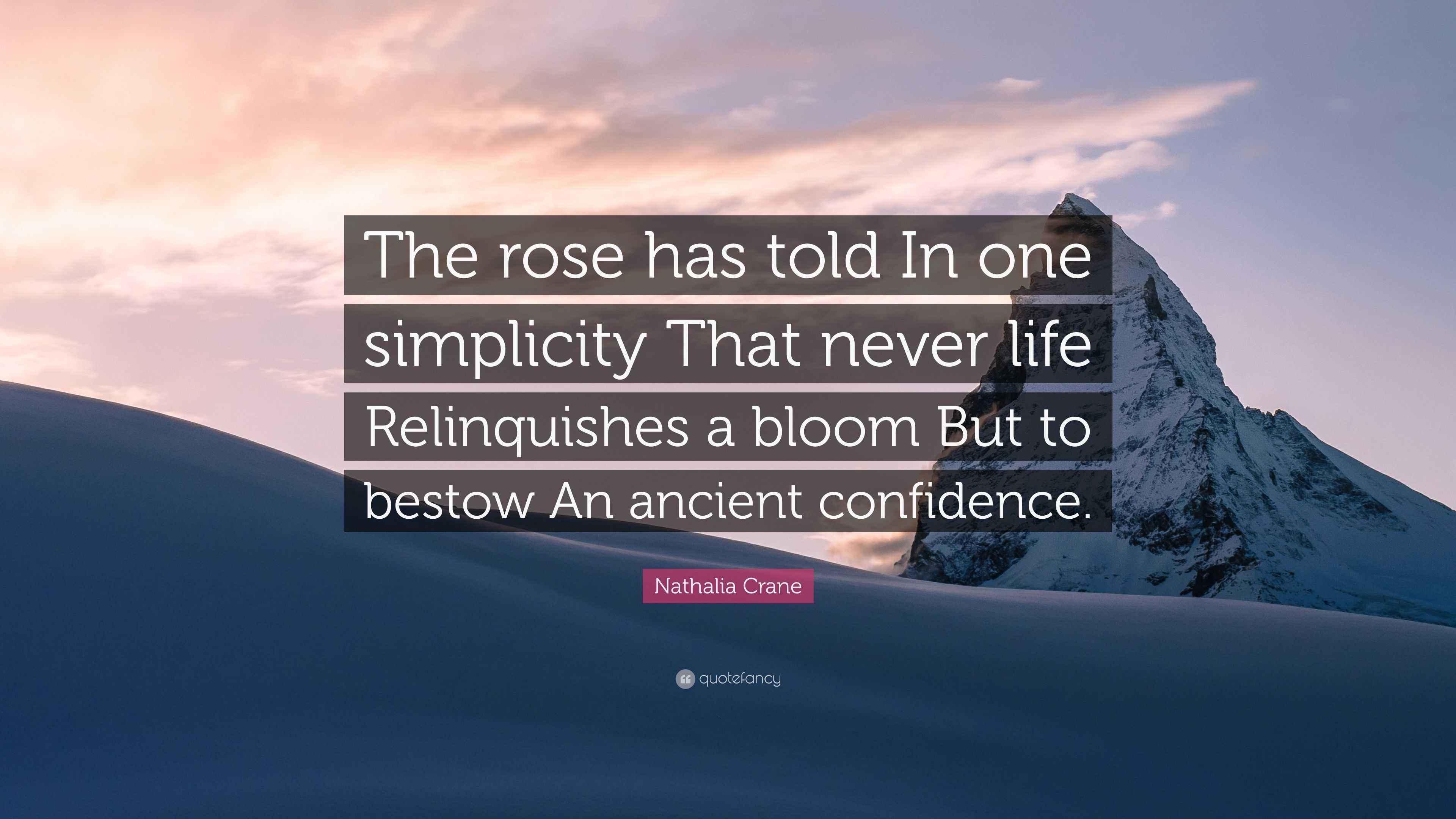 Nathalia Crane Quote “The rose has told In one simplicity That never