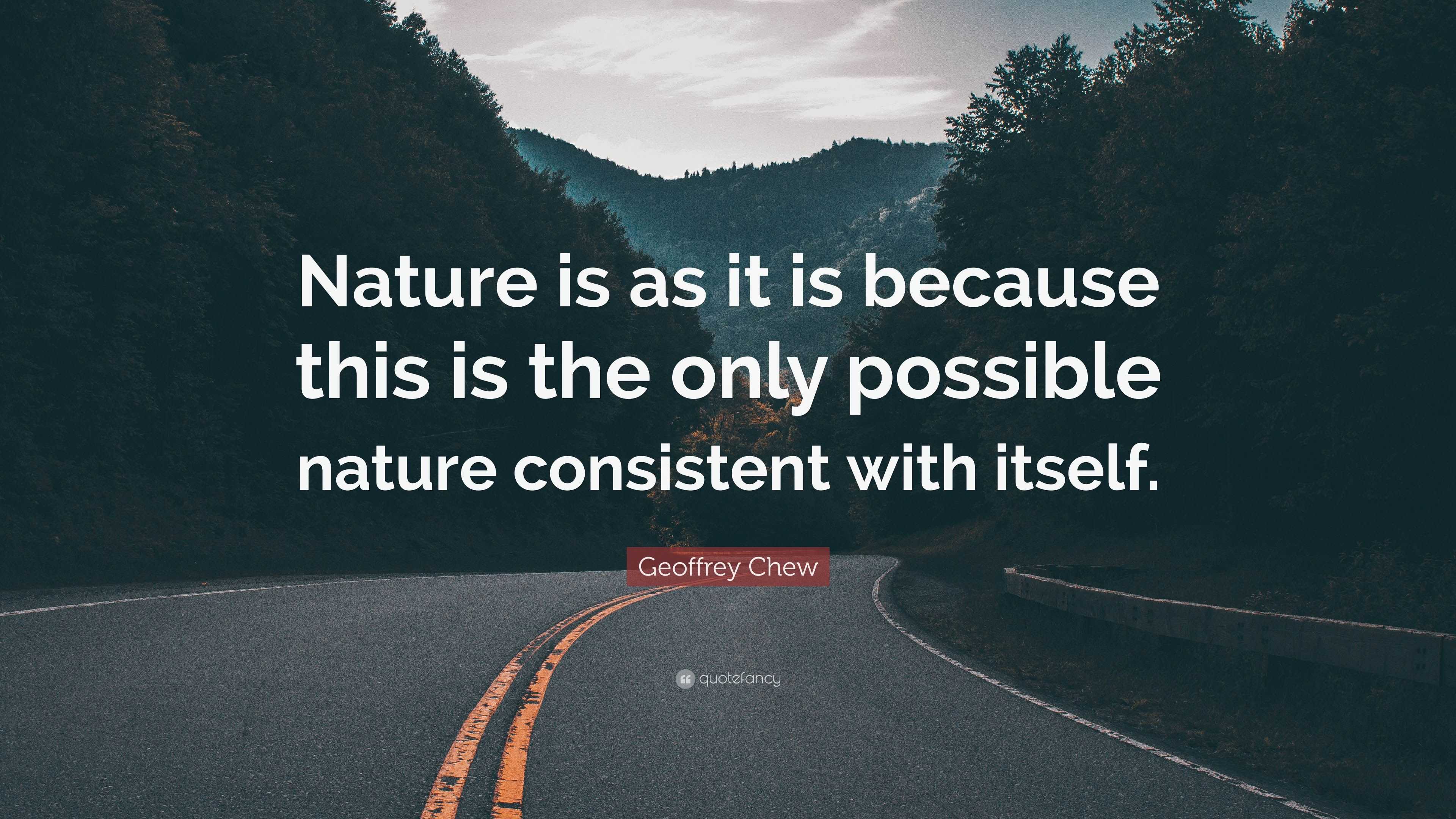 Geoffrey Chew Quote: “Nature is as it is because this is the only ...