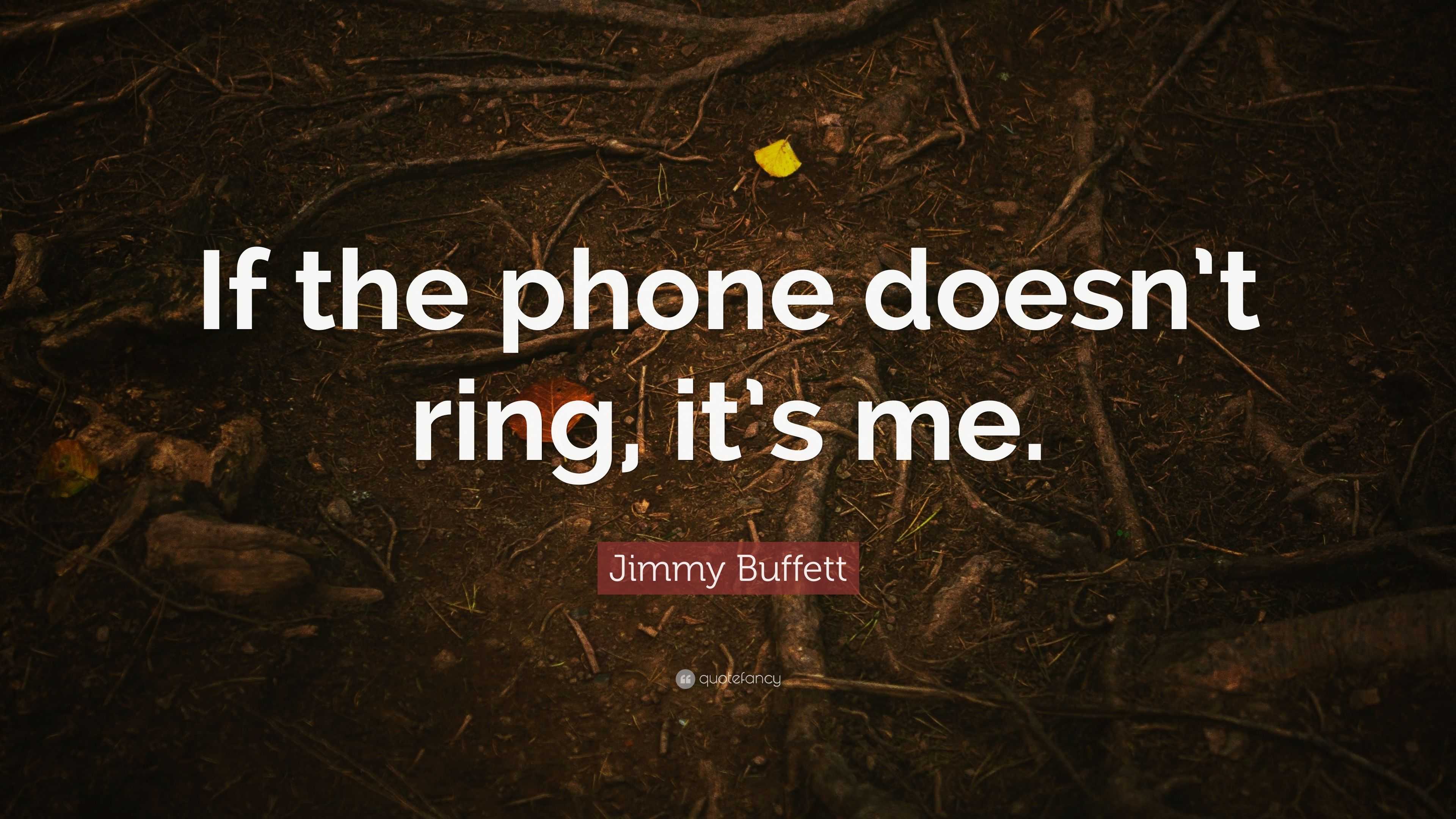 If Your Phone Doesn't Ring, It's Me: Blank Lined Journal : Bulanan, Anna:  Amazon.in: Books